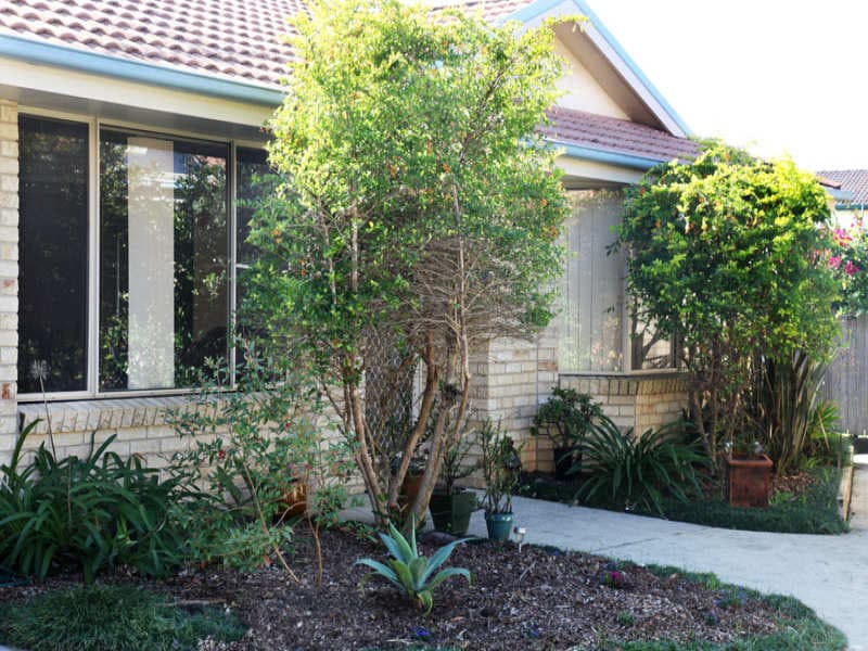 4/136 First Avenue, Sawtell, Sawtell - Thumbnail 2