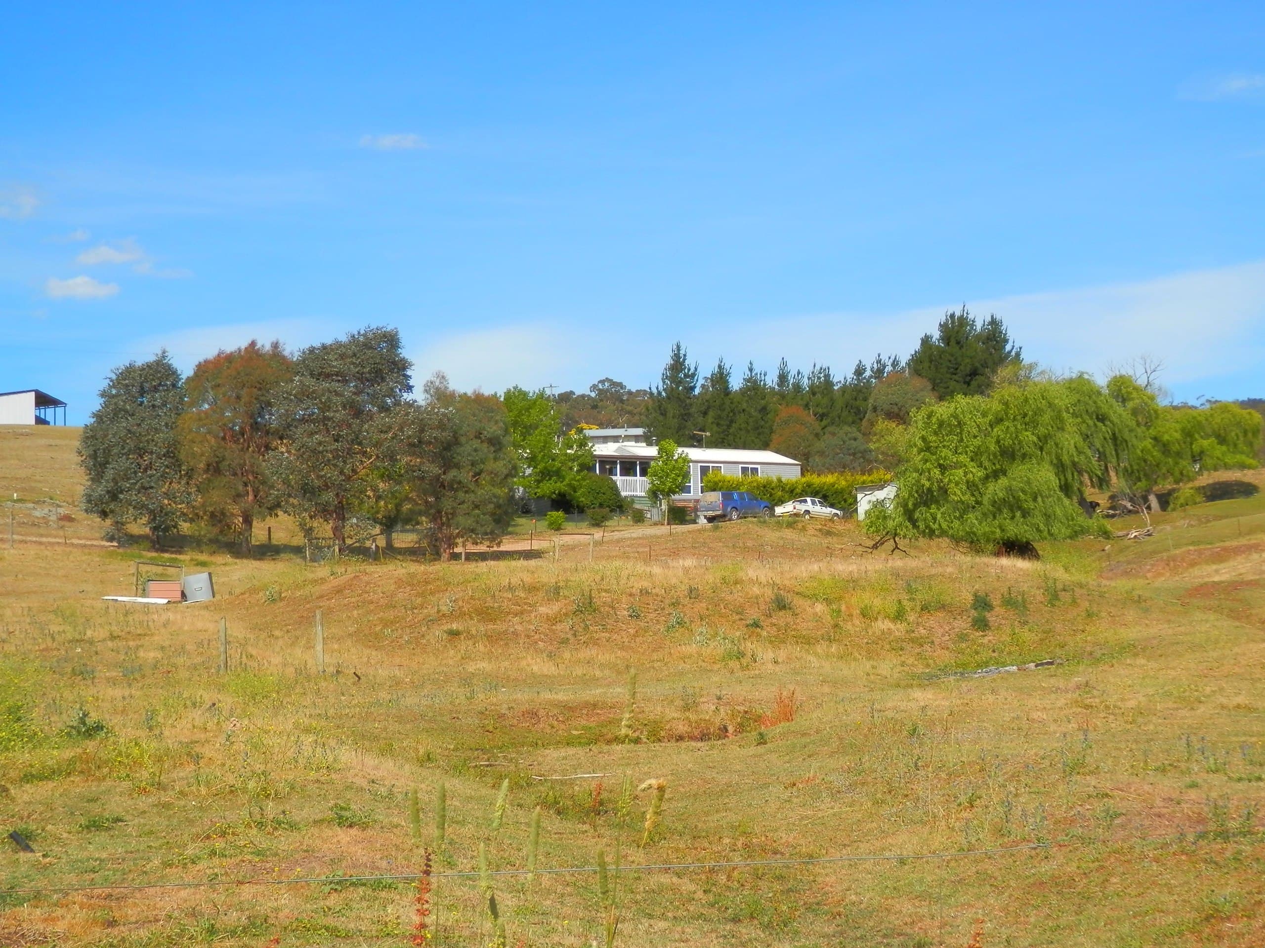 155 Warrens Corner Road, Numeralla, Numeralla - Thumbnail 2