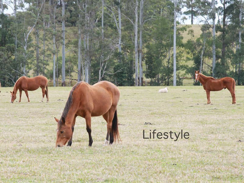 Lot 21 Butlers Road, Bonville, Bonville - Thumbnail 8