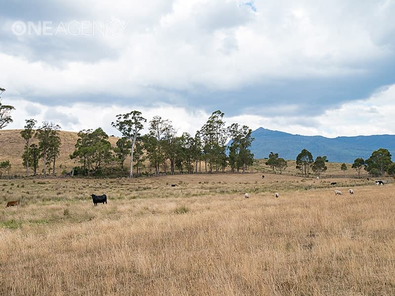 38485 Tasman Highway, Targa, Targa - Thumbnail 5