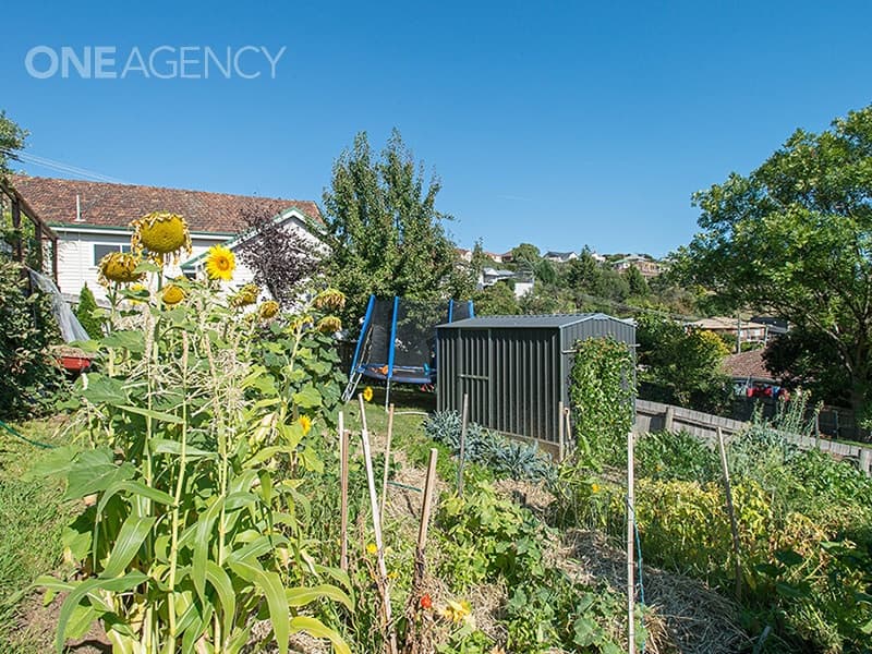 15 McKellar Road, Newstead, Newstead - Thumbnail 8