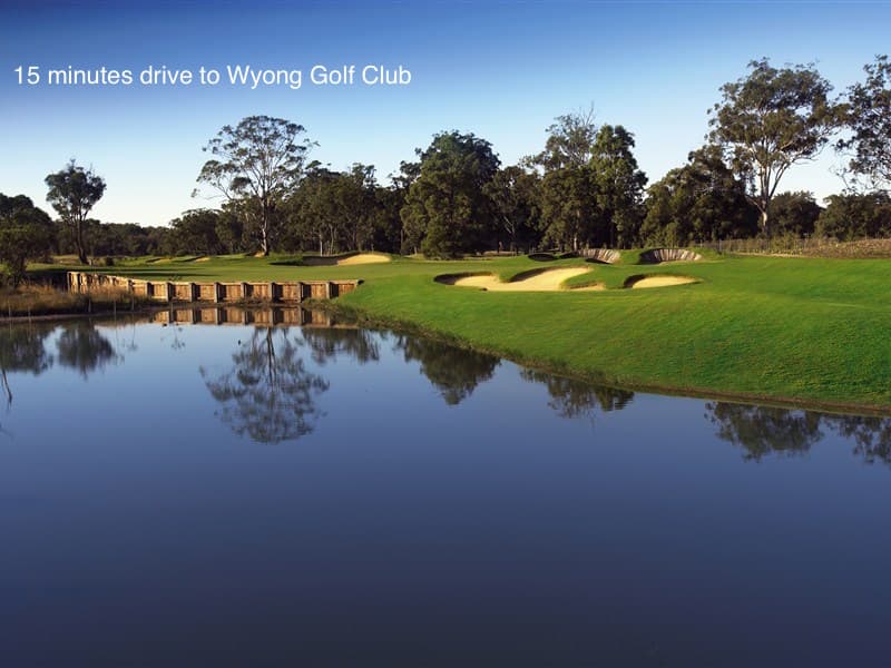 17 Amberlee Crescent, Woongarrah, Woongarrah - Thumbnail 5