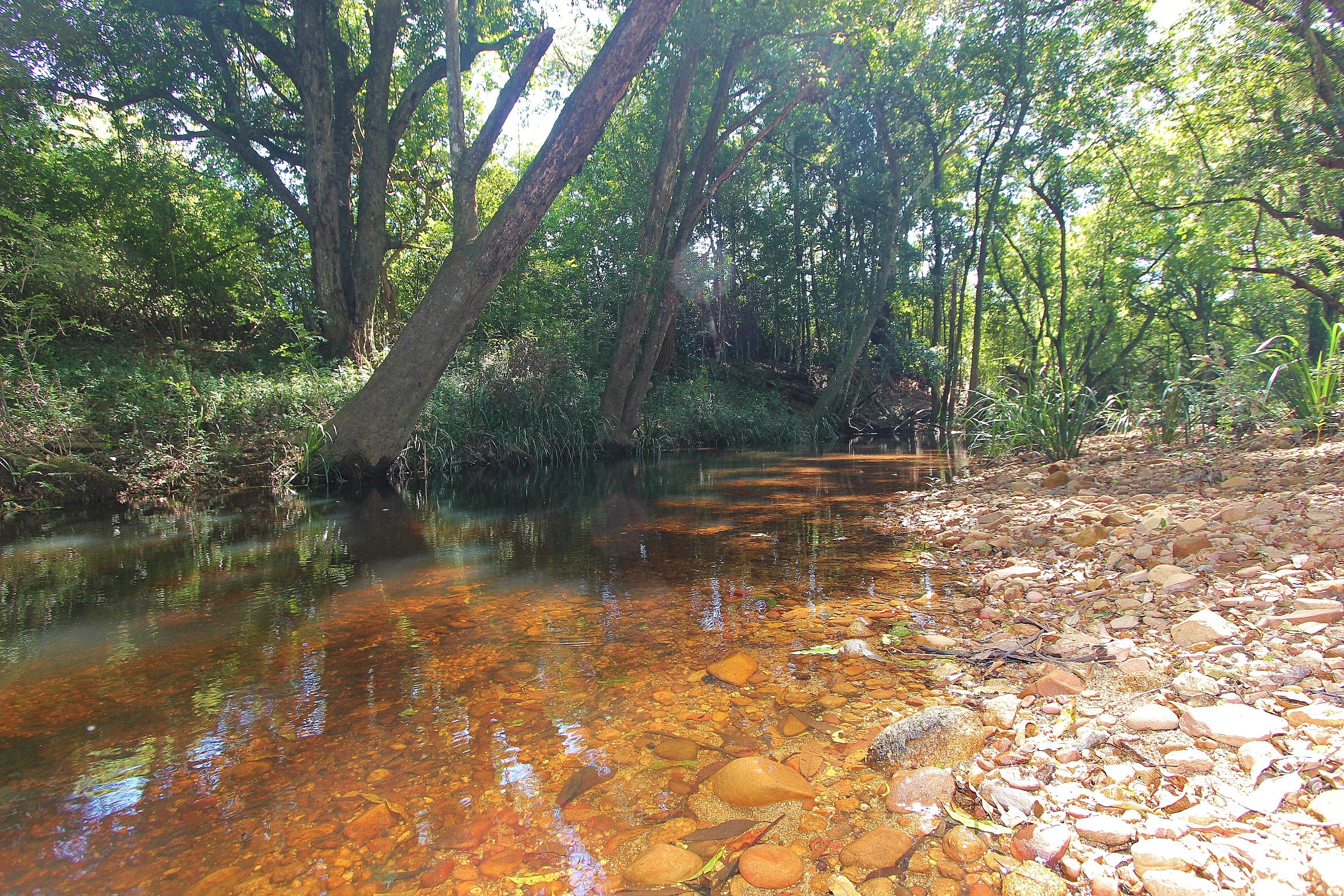 26 Cherry Tree Lane, Hannam Vale, Hannam Vale - Thumbnail 2