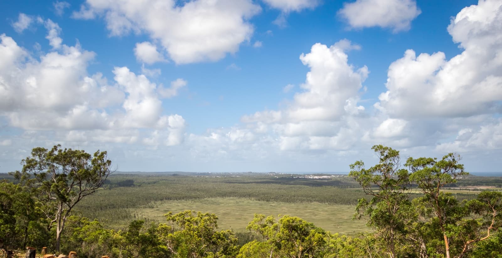24-26 Carnarvon Court, Yandina Creek, Yandina Creek - Thumbnail 2