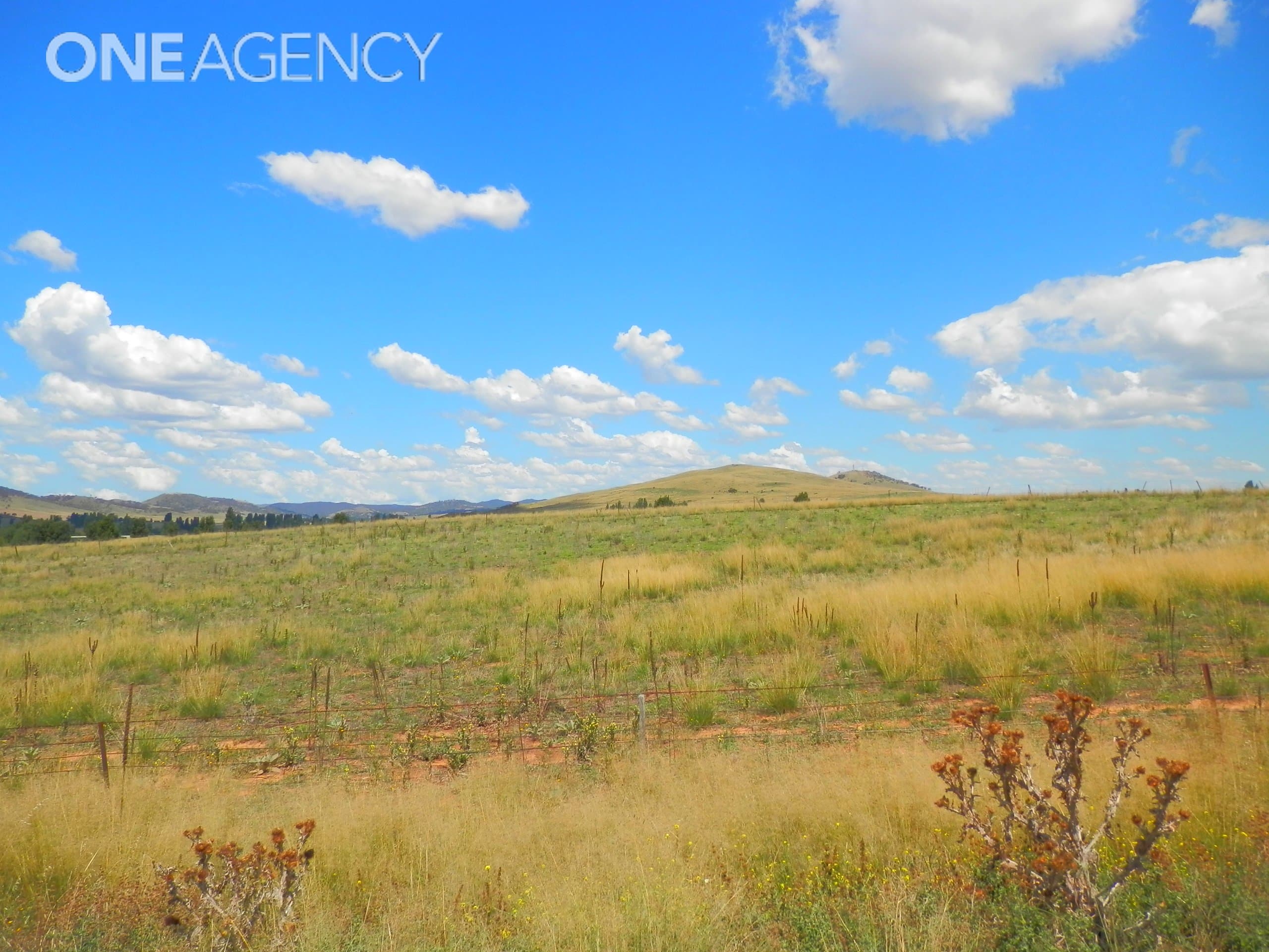 Lots/147 & 148 Bunyan  Street, Bredbo, Bredbo - Thumbnail 6
