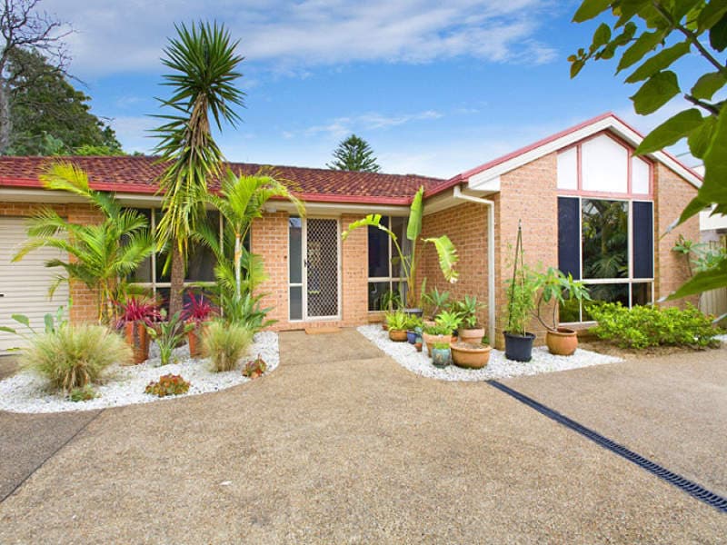14A Cook Street, Forestville, Forestville - Thumbnail 6