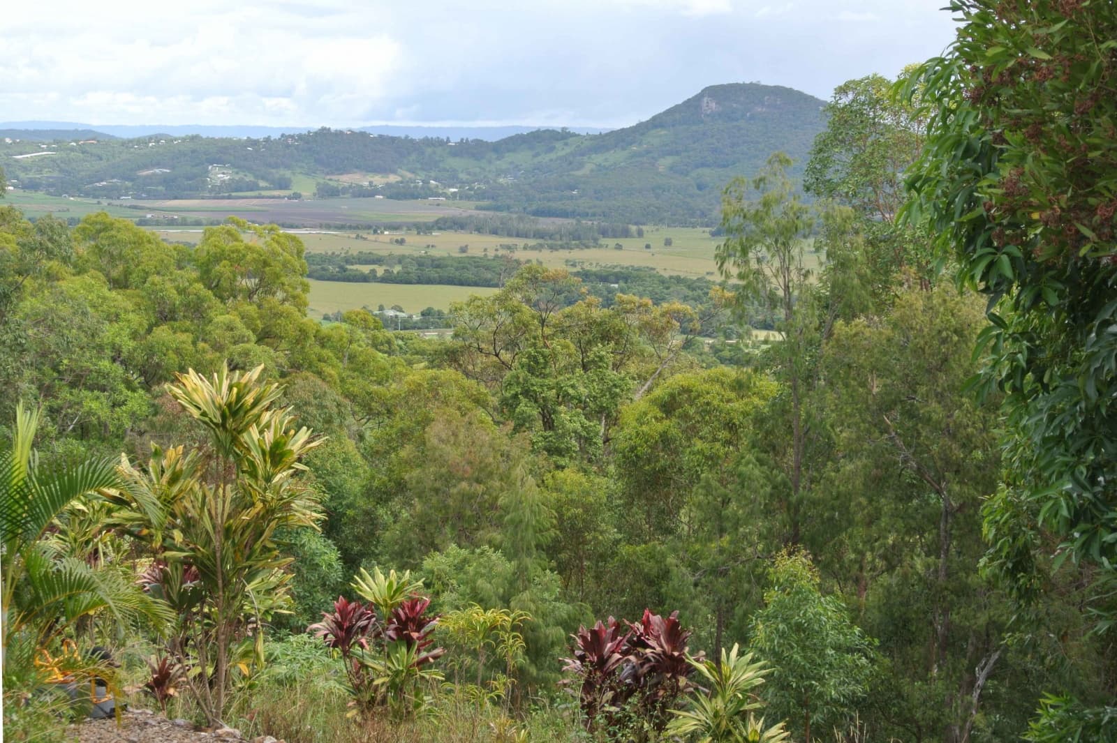 31 Musgrave Drive, Yandina Creek, QLD 4561, Yandina Creek - Thumbnail 5