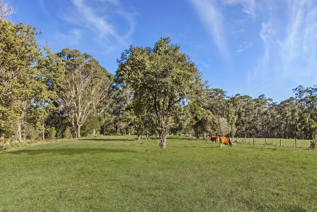 61 Chittaway Road, Kangy Angy, Kangy Angy - Image 1