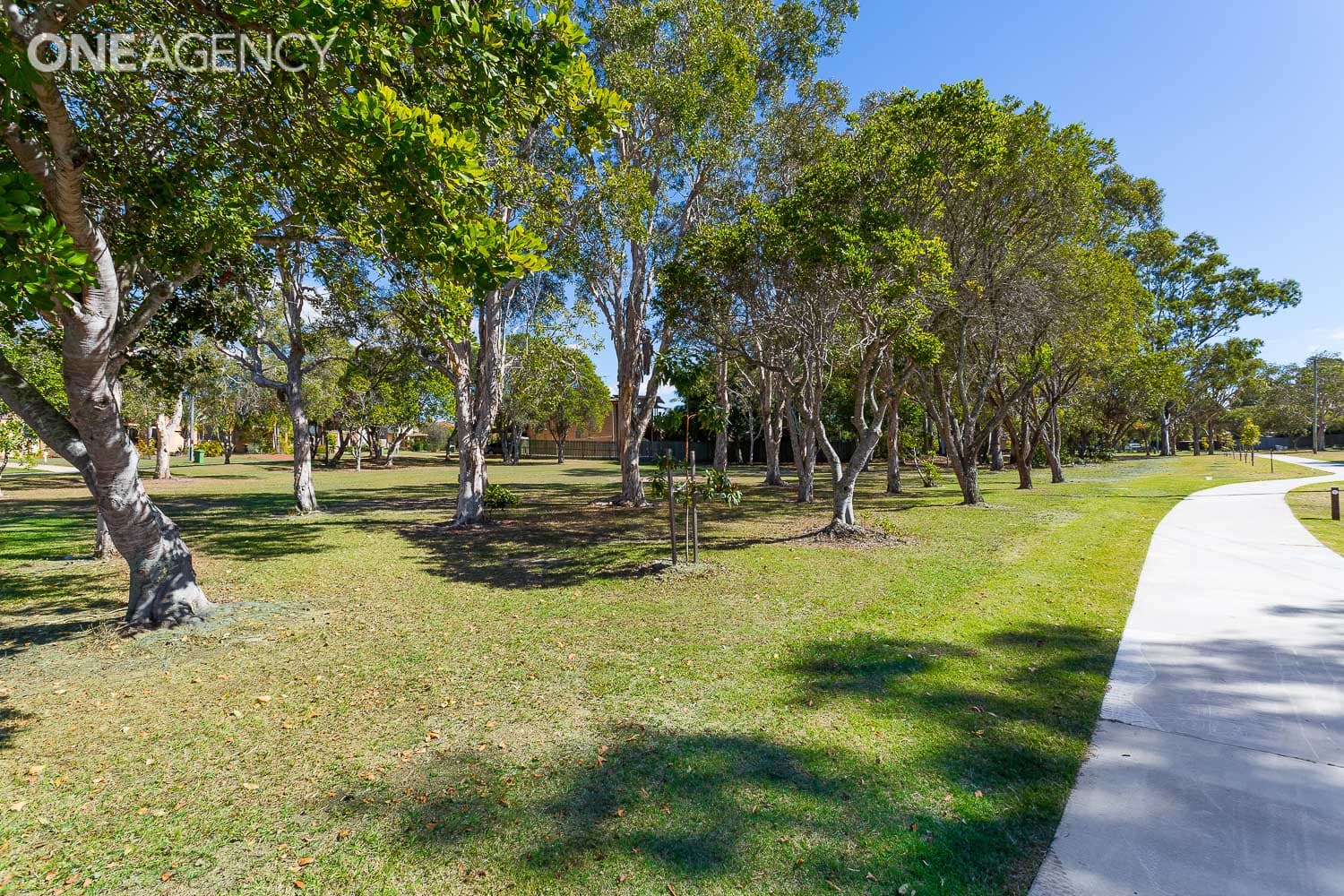 8a Camellia Street, Clontarf, Clontarf - Thumbnail 6