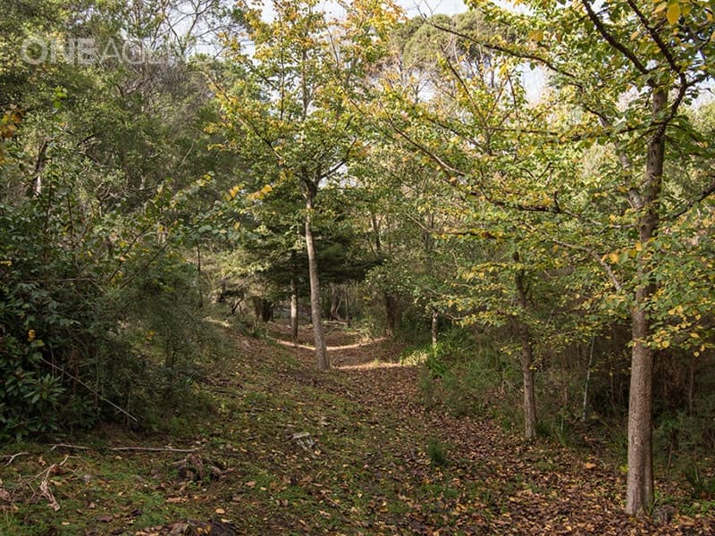 173 Auld Kirk Road, Deviot, Deviot - Thumbnail 7