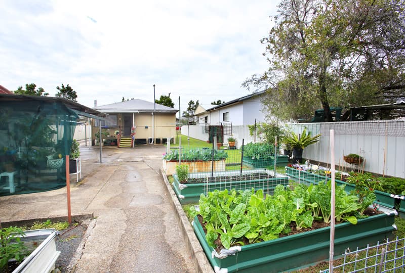 27 Pitt Street, Coffs Harbour, Coffs Harbour - Thumbnail 4