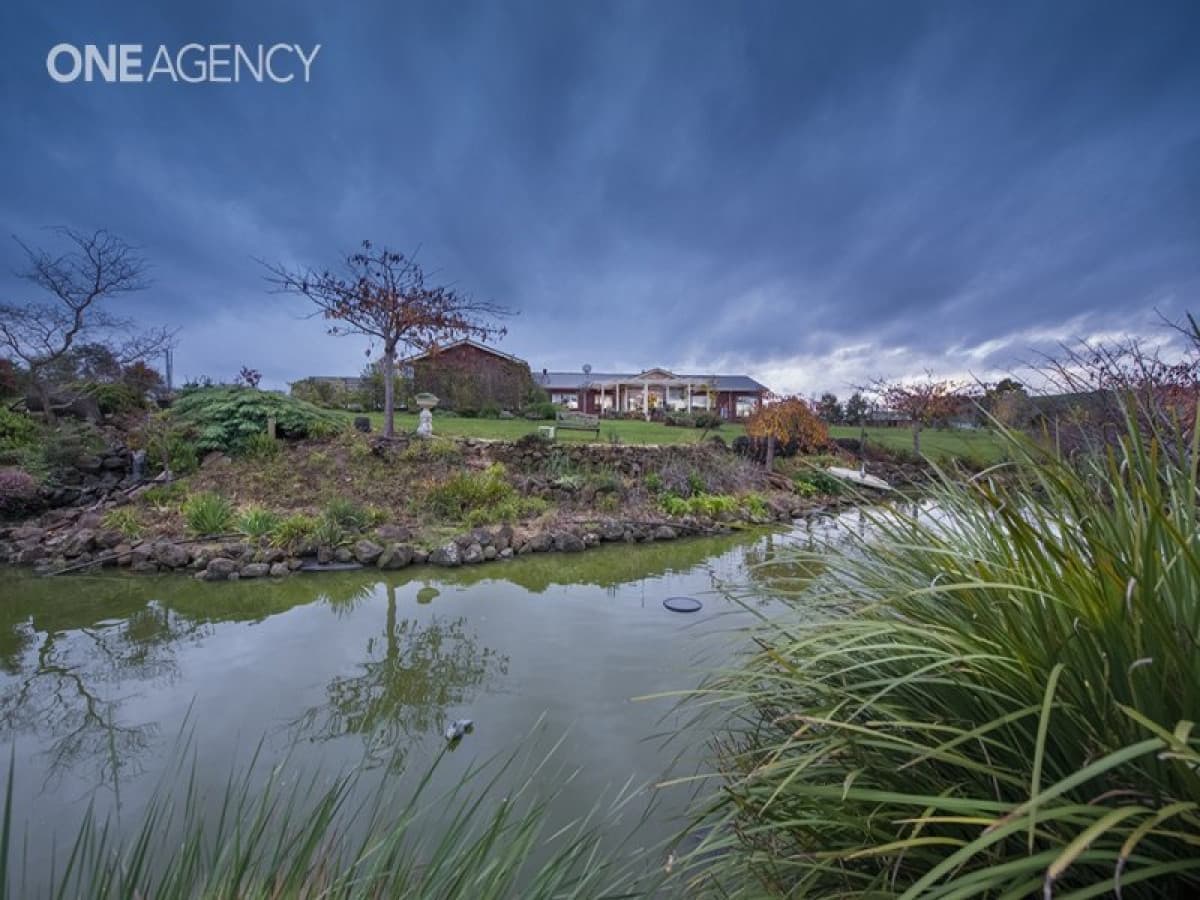 189 Preolenna Road, Flowerdale, Flowerdale - Thumbnail 2