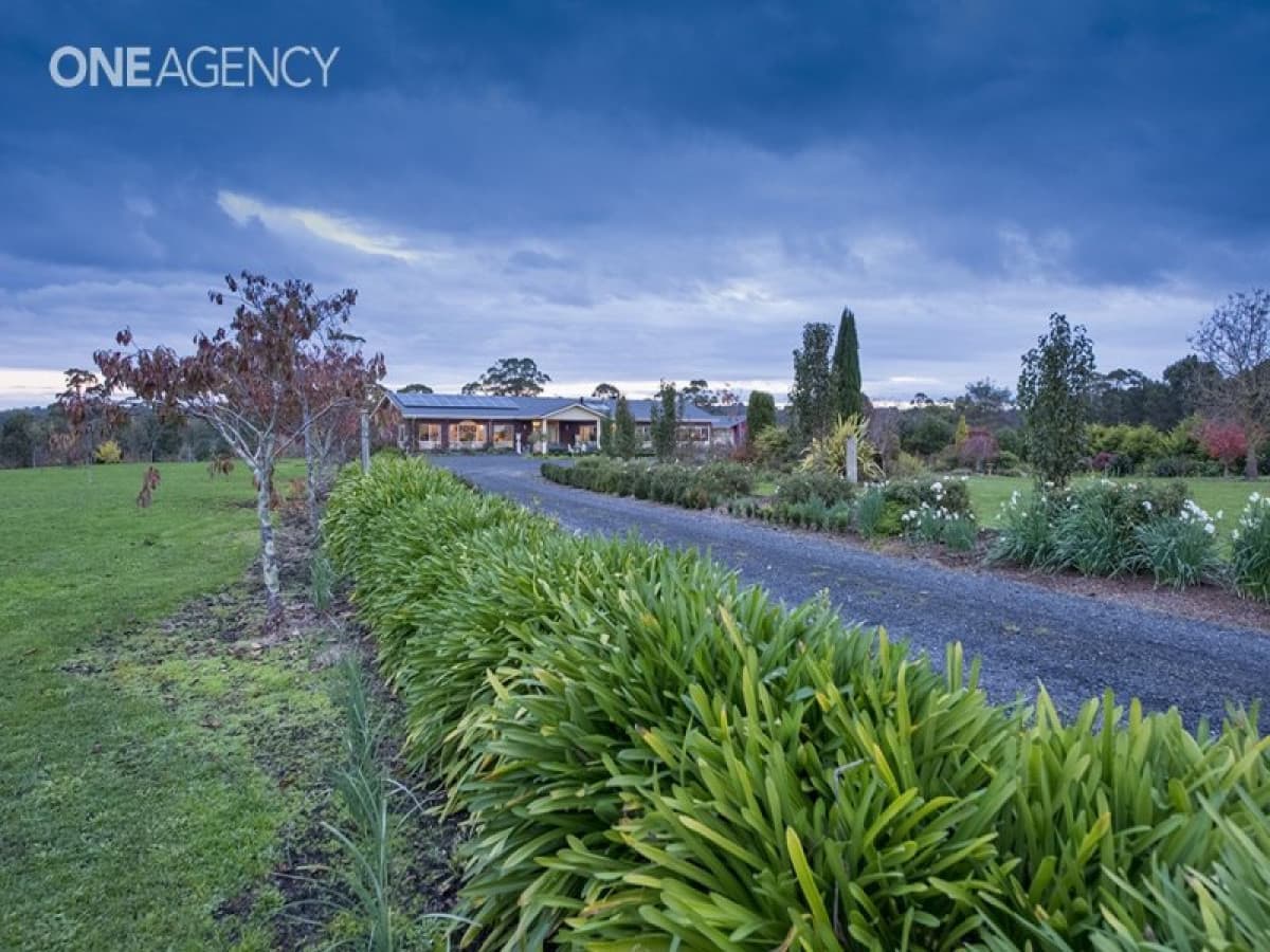 189 Preolenna Road, Flowerdale, Flowerdale - Thumbnail 5