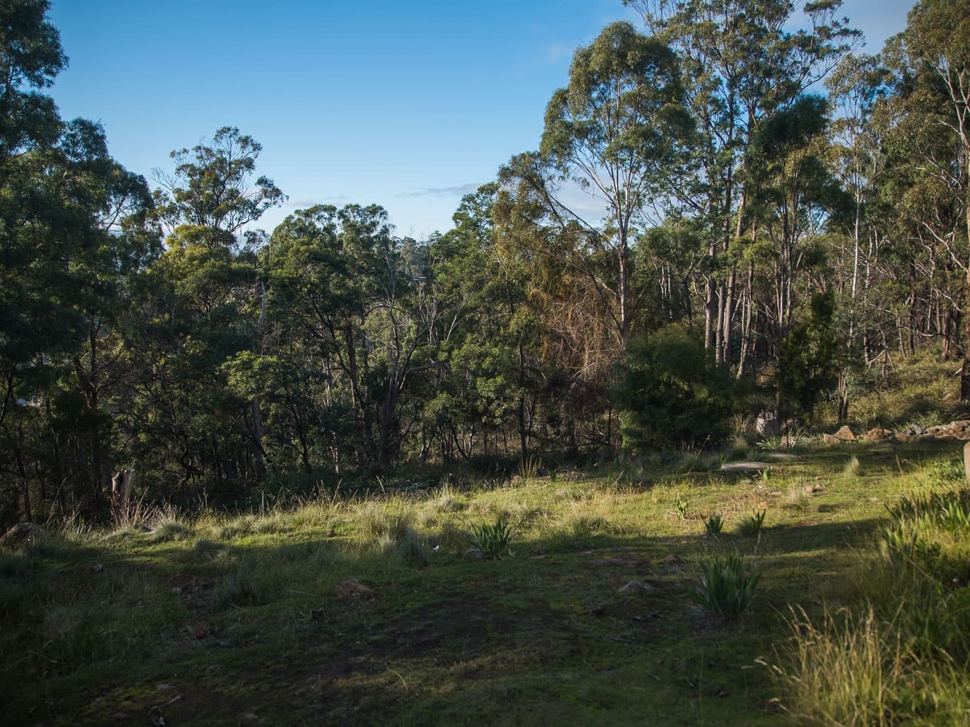 63 New World Avenue, Trevallyn, Trevallyn - Thumbnail 3