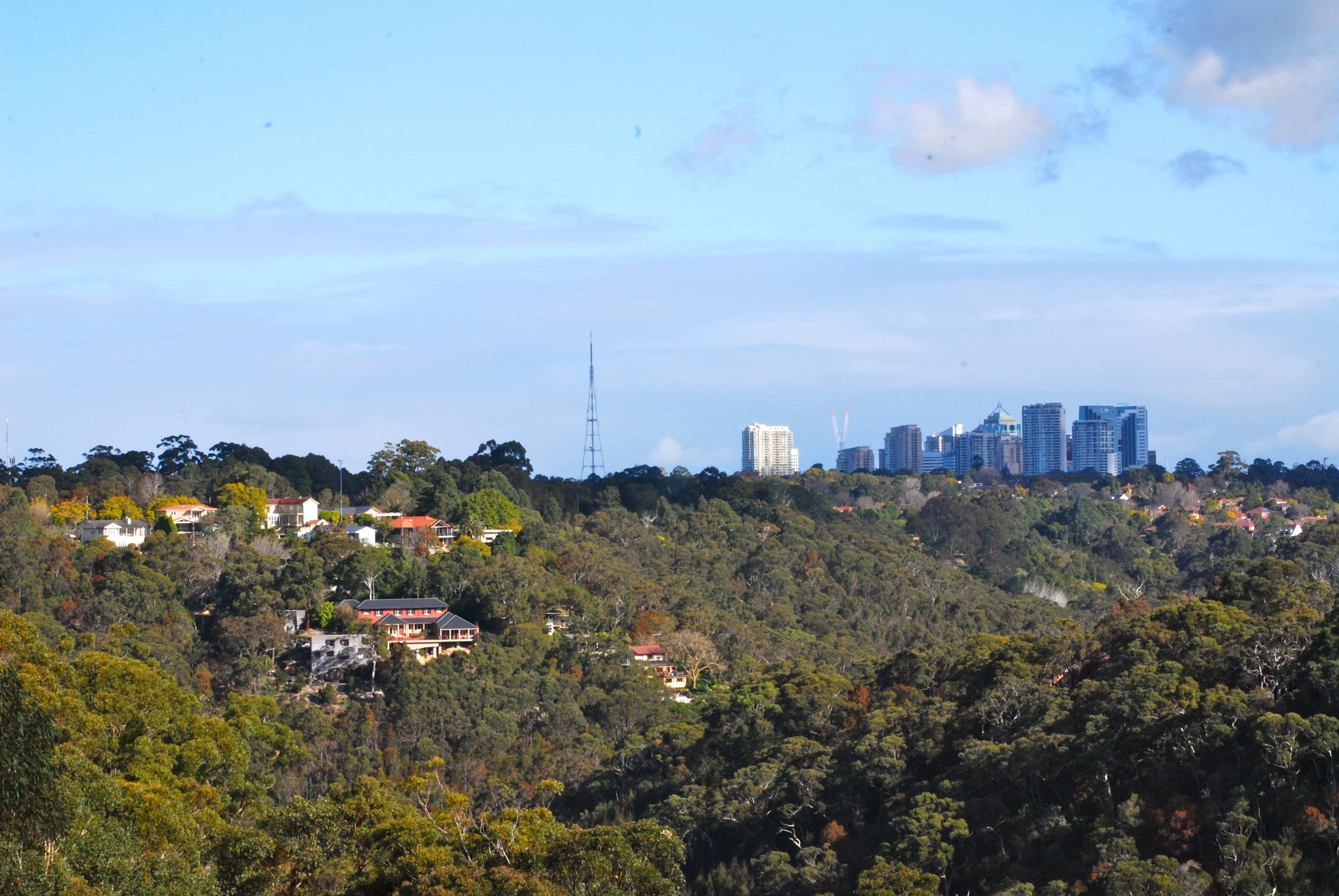 15 Lolita Avenue, Forestville, Forestville - Thumbnail 6