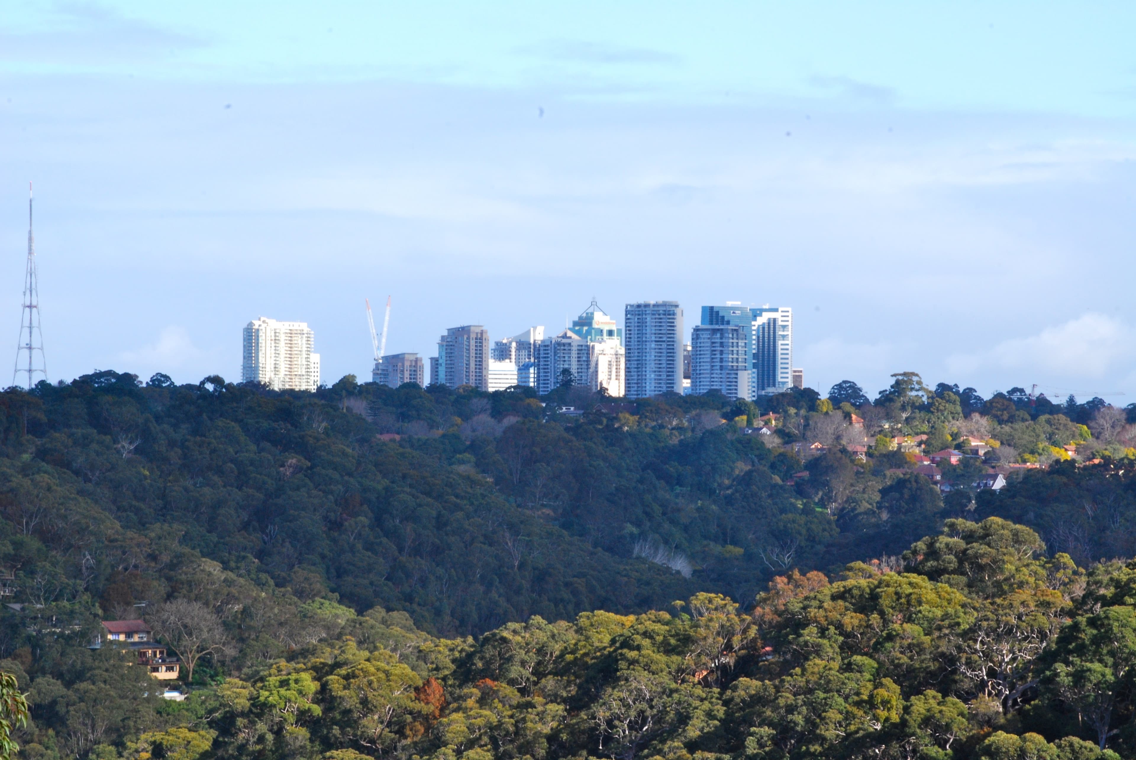 15 Lolita Avenue, Forestville, Forestville - Thumbnail 7