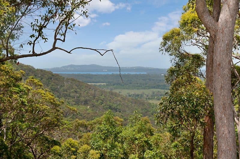 Lot 145 Cania Place, Yandina Creek, QLD 4561, Yandina Creek - Thumbnail 2