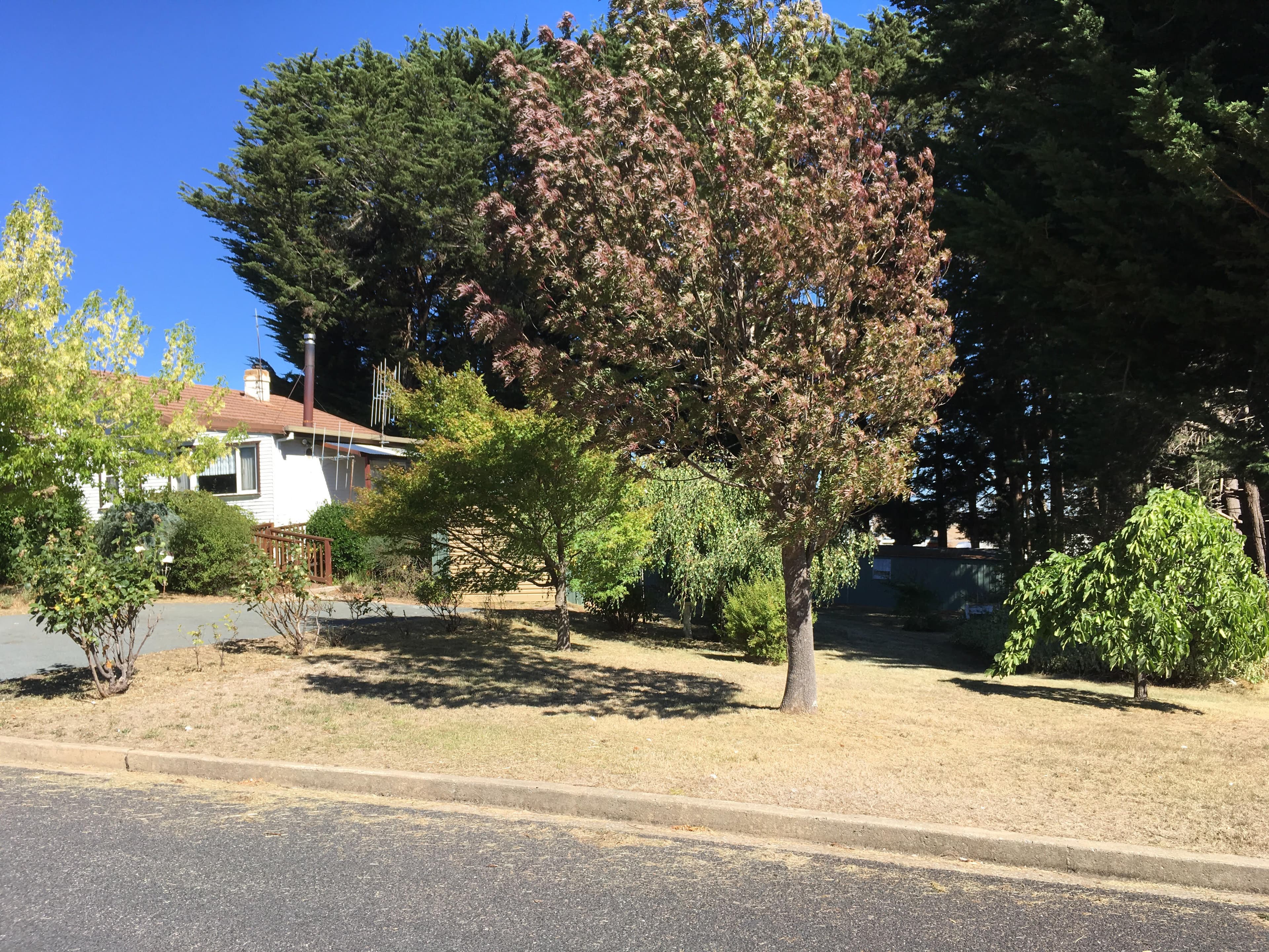 40 Clarke Street, Nimmitabel, Nimmitabel - Thumbnail 3