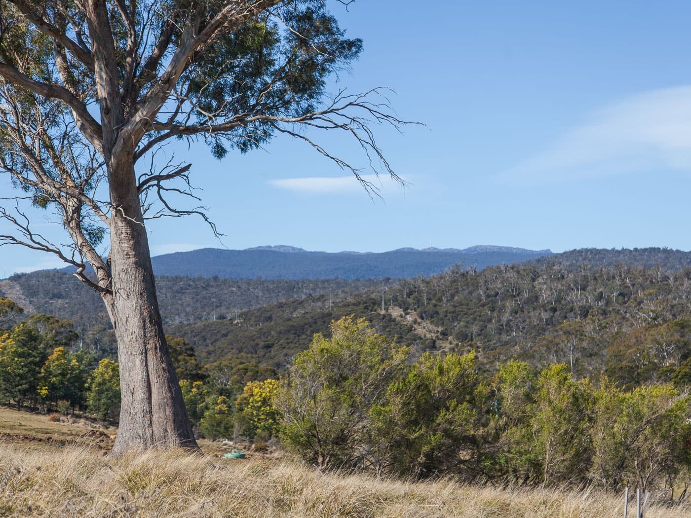 30 White Gum Rise, St Leonards, St Leonards - Thumbnail 2