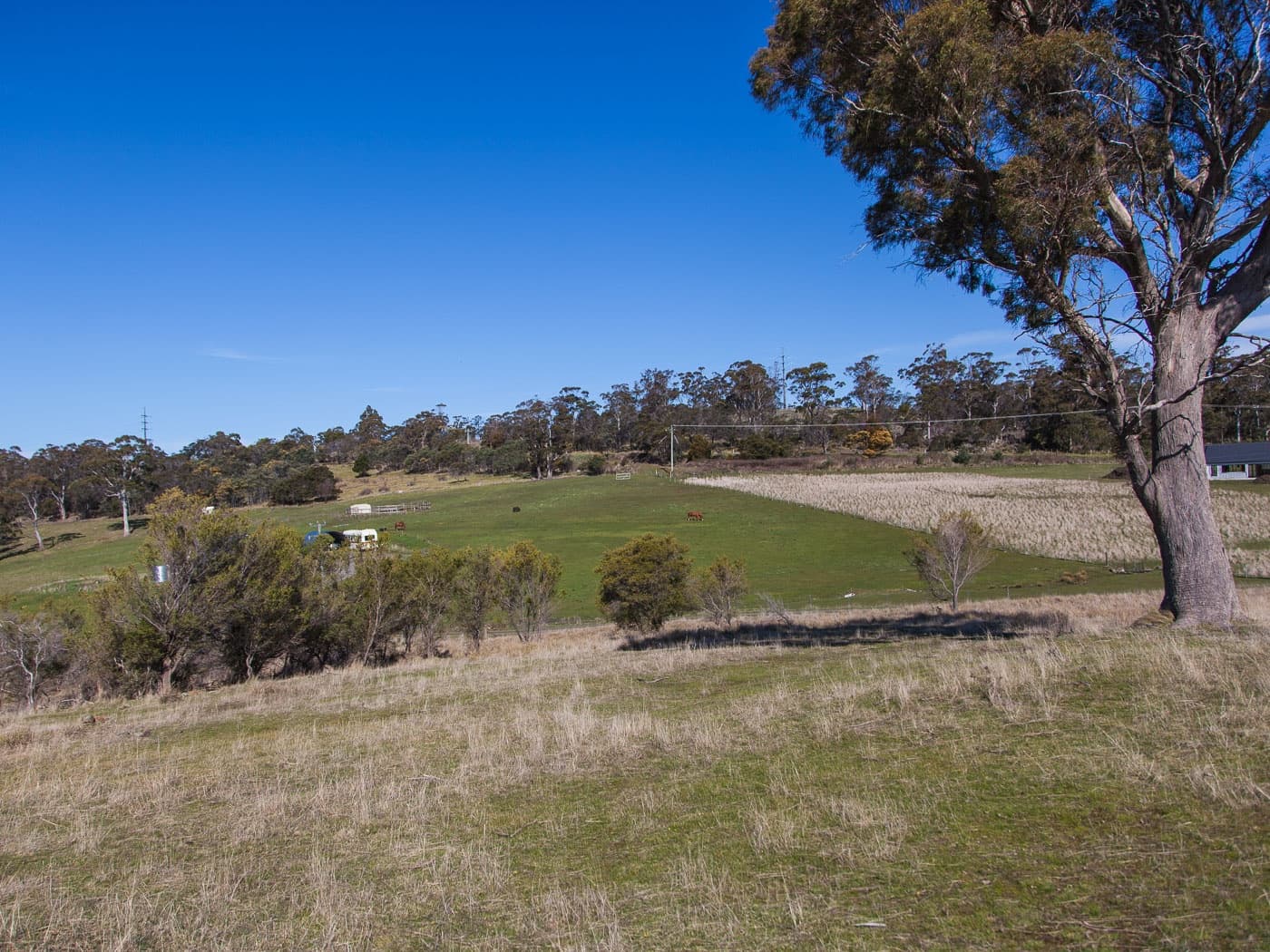 30 White Gum Rise, St Leonards, St Leonards - Thumbnail 3