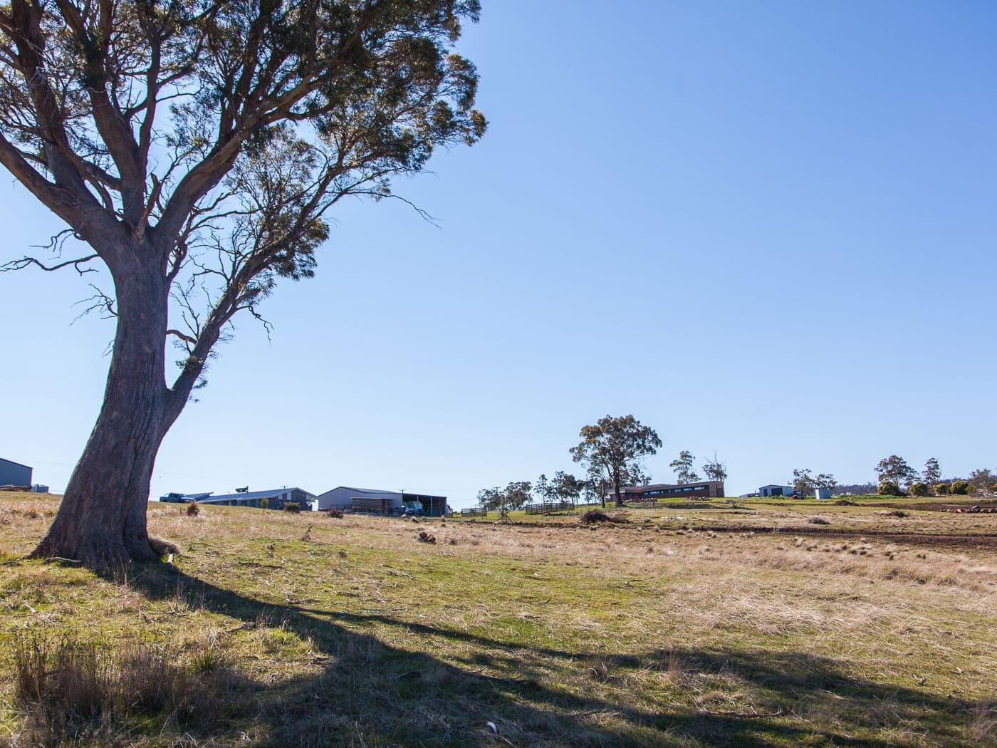 30 White Gum Rise, St Leonards, St Leonards - Thumbnail 4
