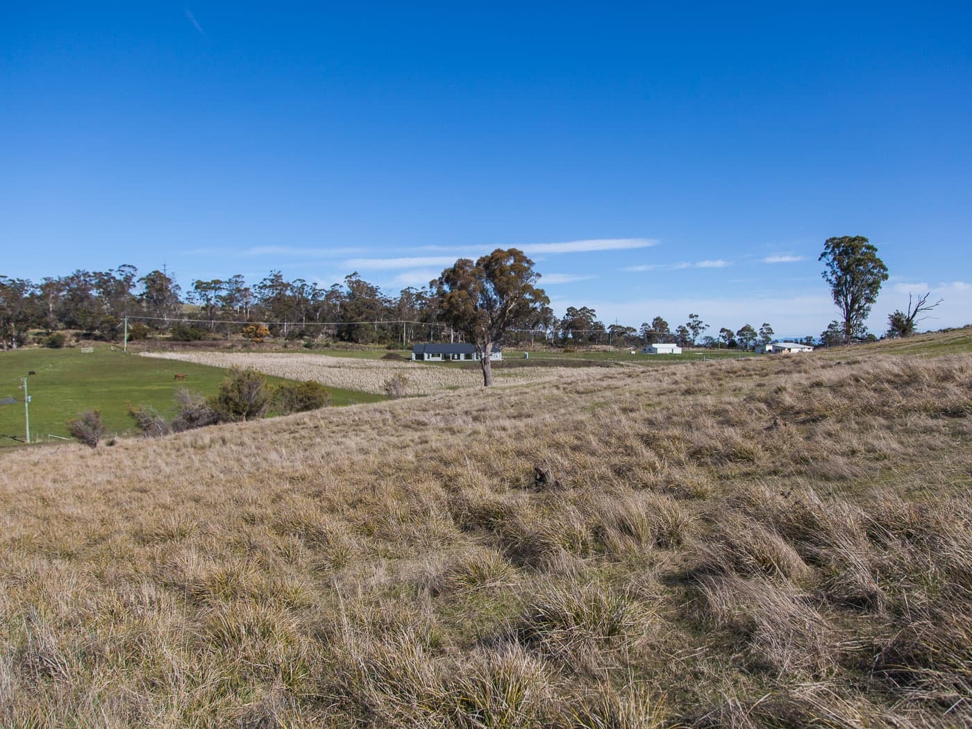 30 White Gum Rise, St Leonards, St Leonards - Thumbnail 8