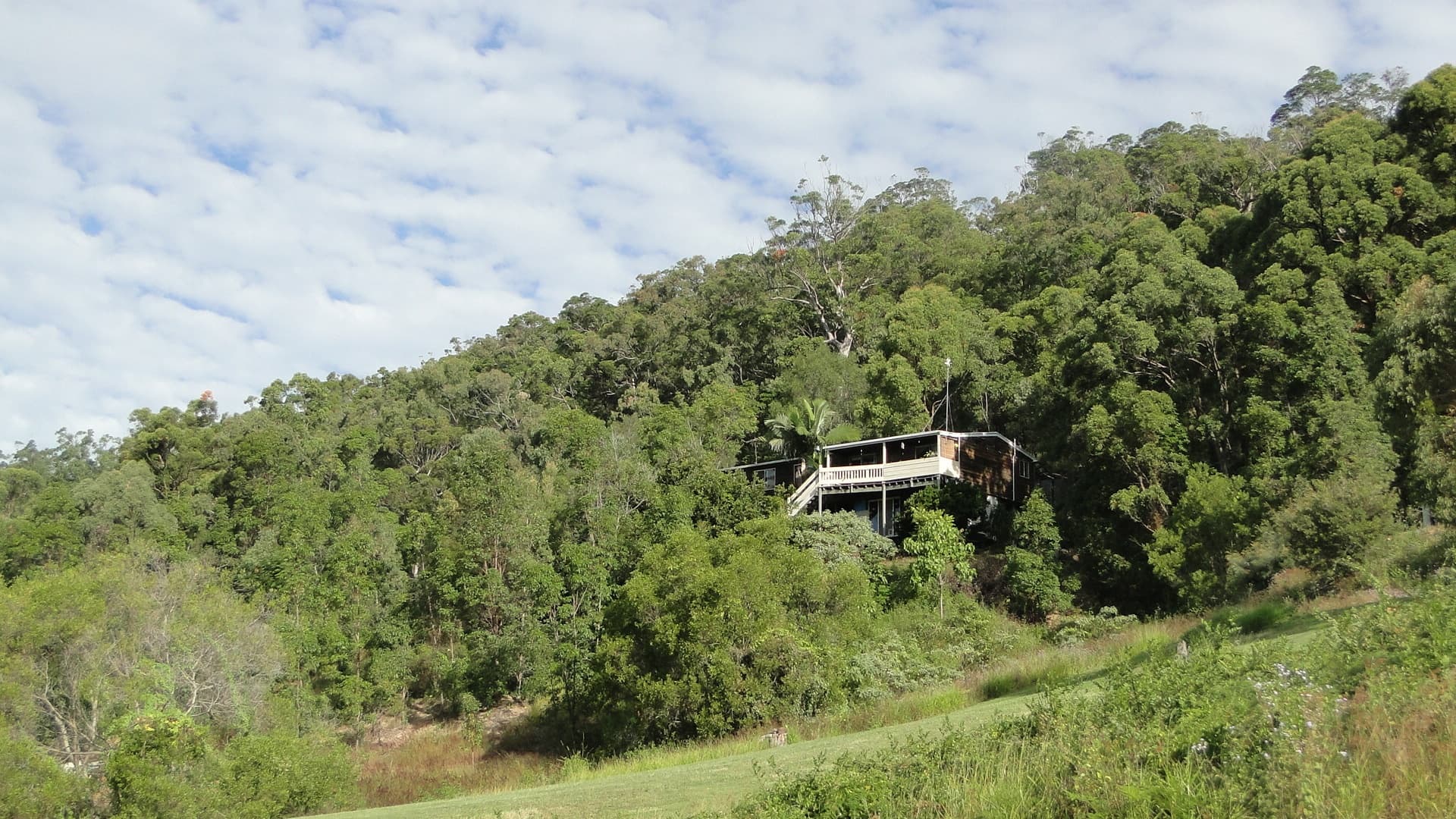54 Leichhardt Drive, Yandina Creek, Yandina Creek - Thumbnail 2
