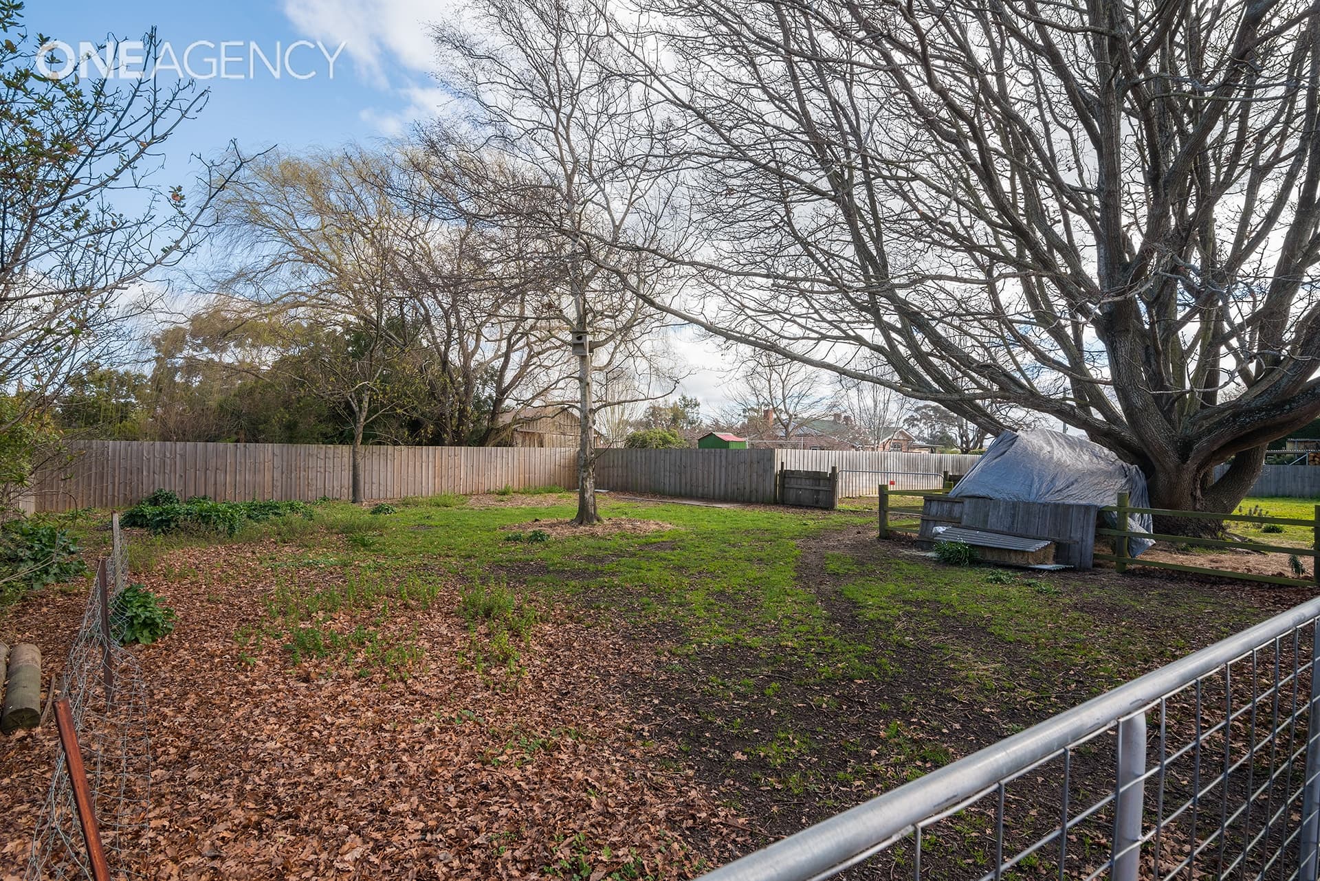 14a Macquarie Street, Evandale, Evandale - Thumbnail 2