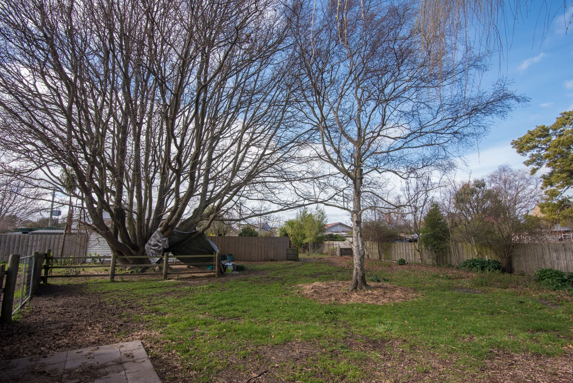 14a Macquarie Street, Evandale, Evandale - Thumbnail 3