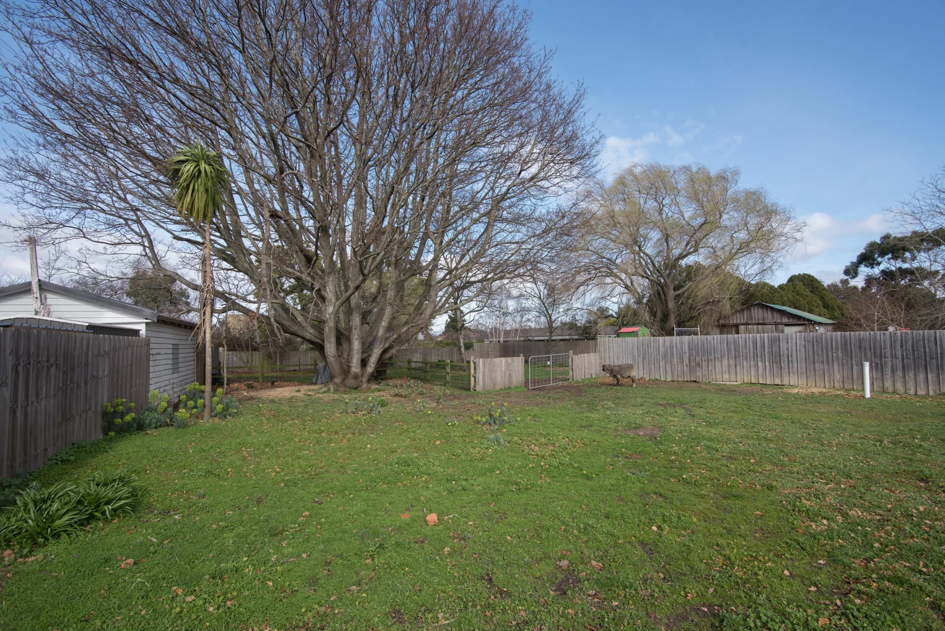 14a Macquarie Street, Evandale, Evandale - Thumbnail 5