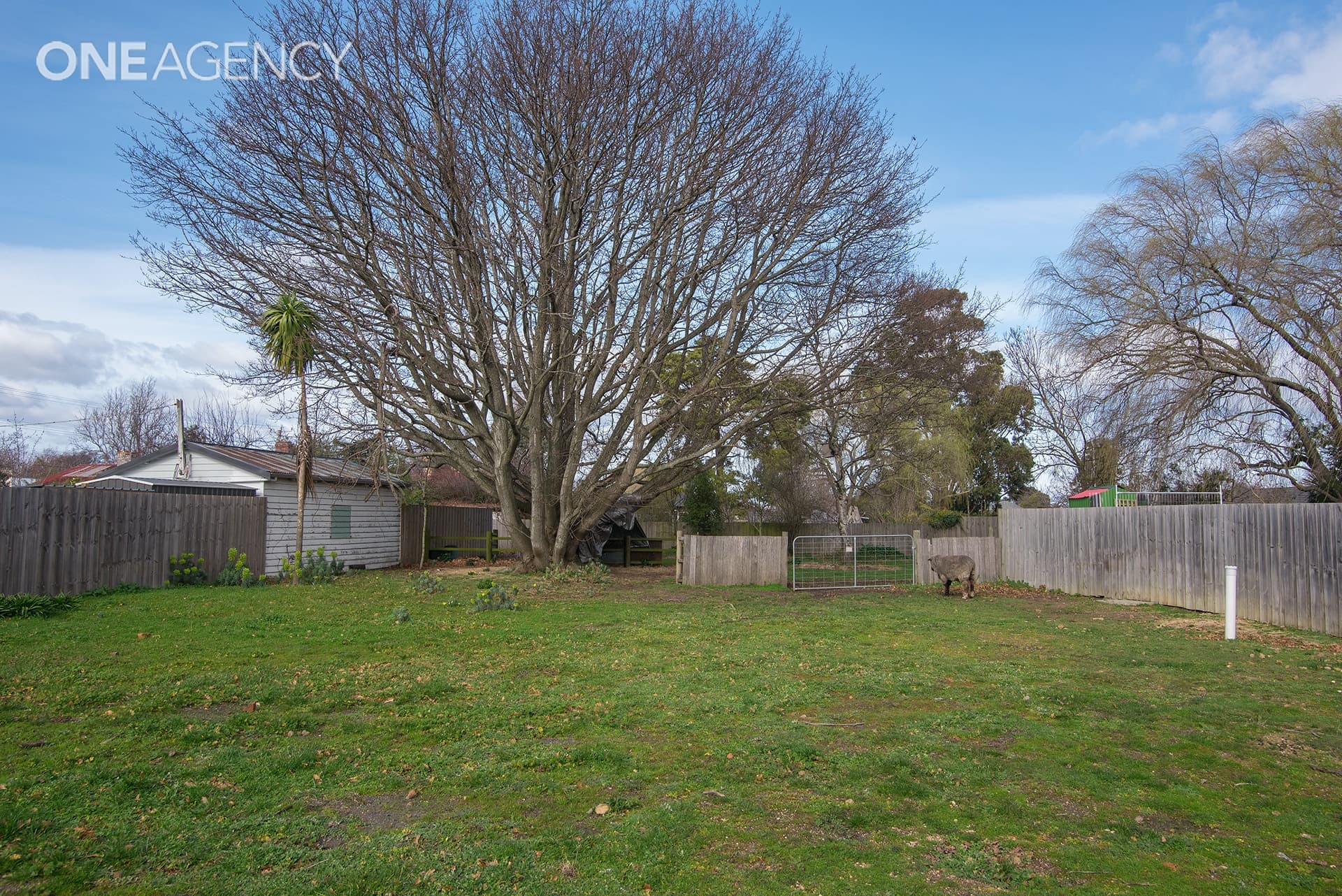 14a Macquarie Street, Evandale, Evandale - Thumbnail 6