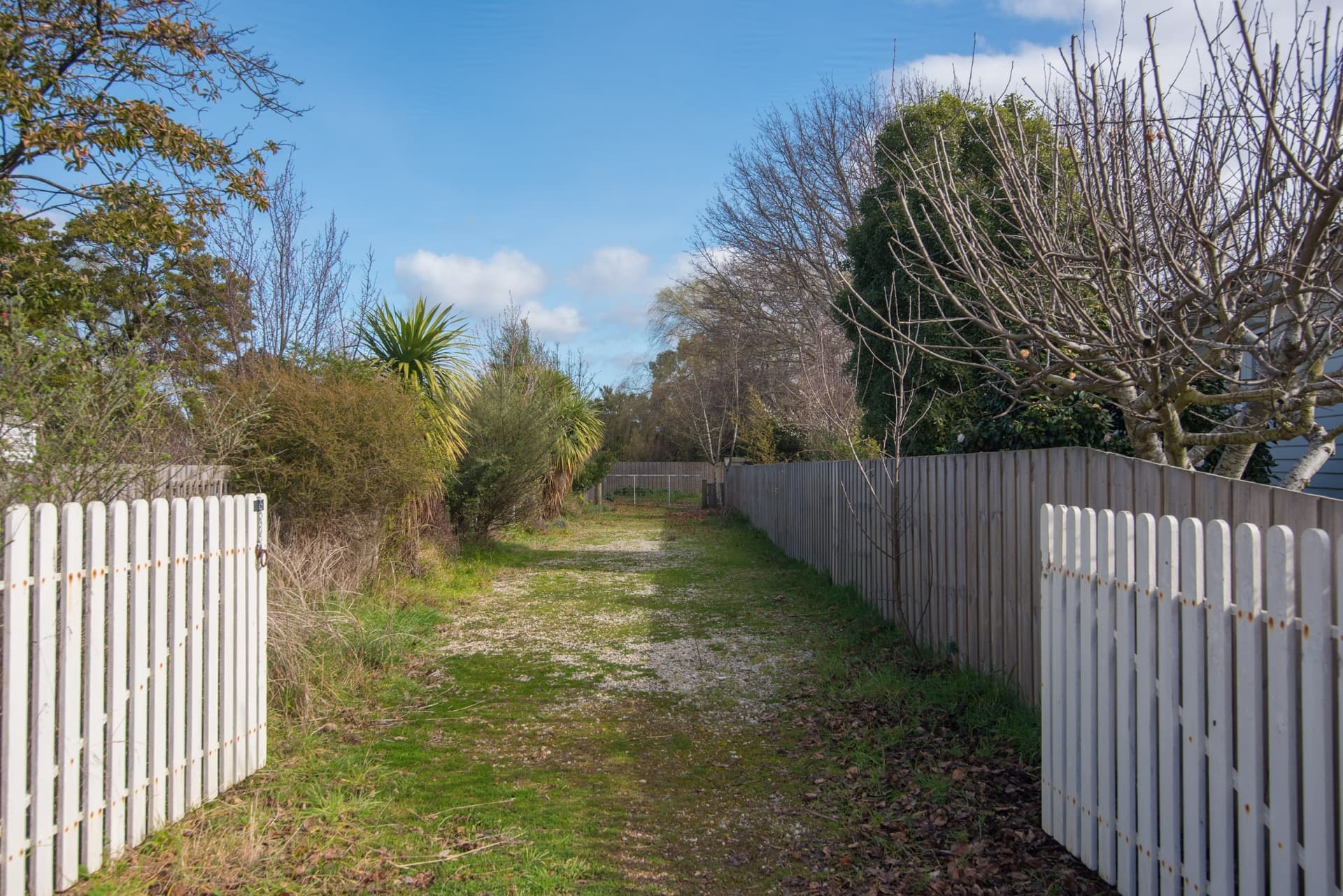 14a Macquarie Street, Evandale, Evandale - Image 1