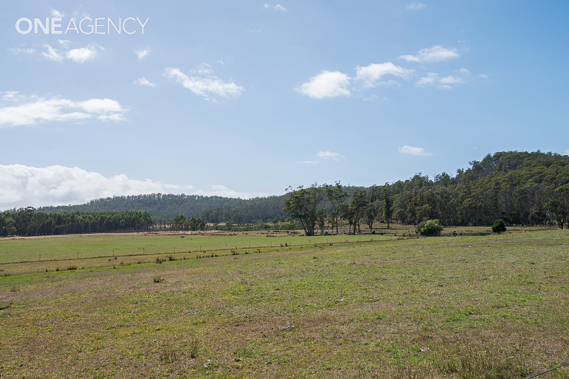 1023 Bridgenorth Road, Bridgenorth, Bridgenorth - Thumbnail 3
