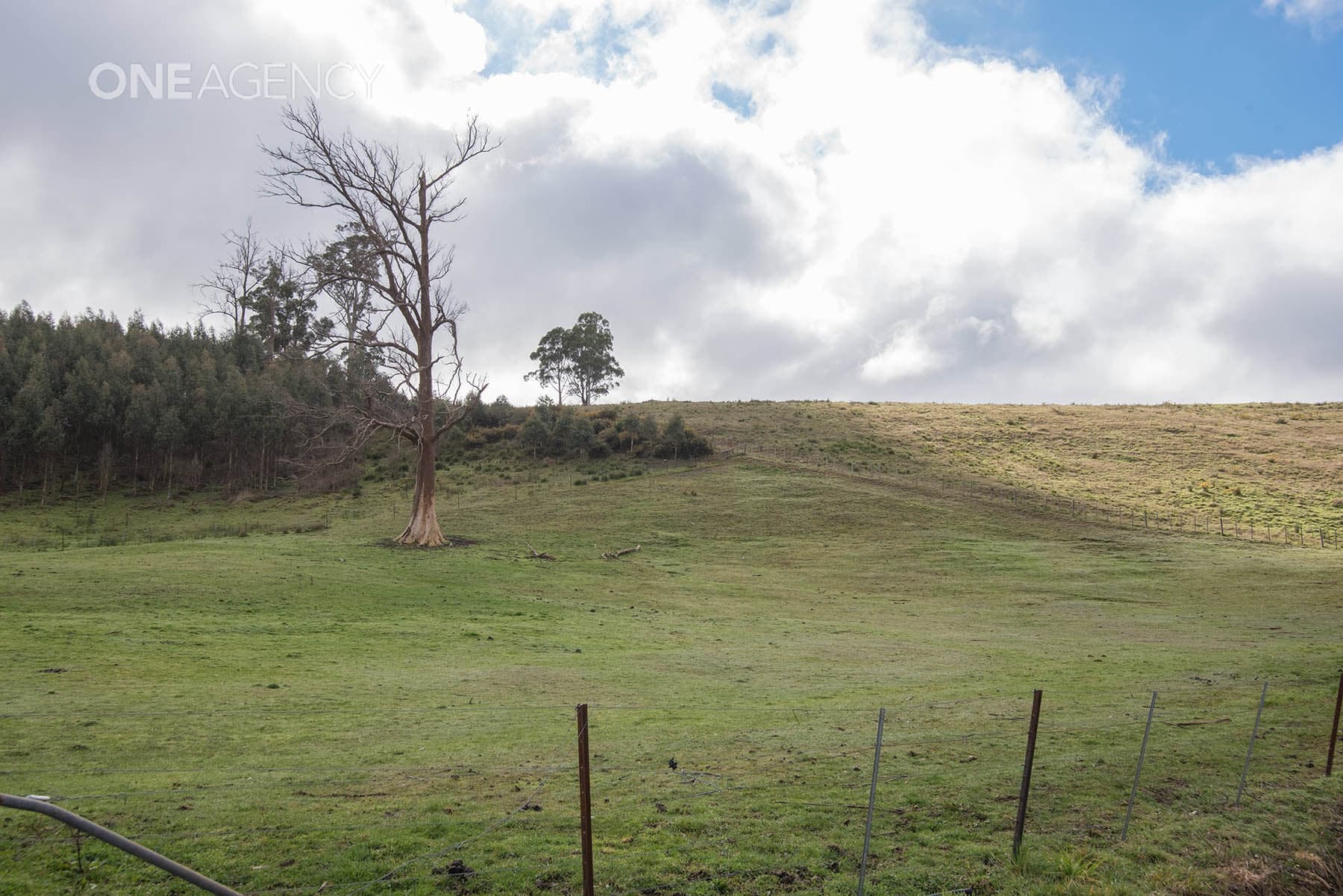 7 North Lilydale Road, Lilydale, Lilydale - Thumbnail 4