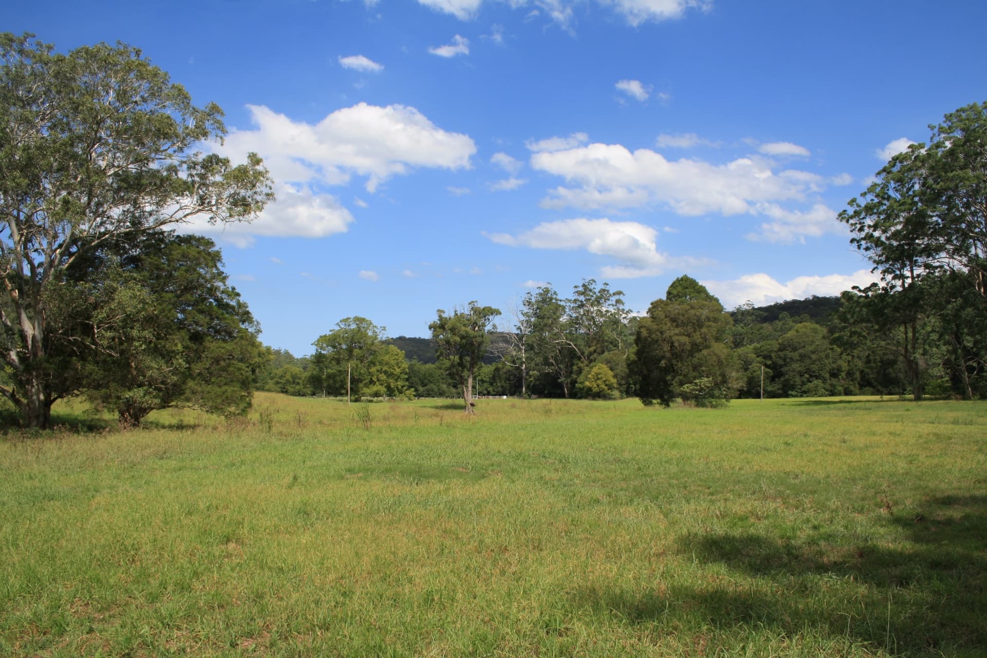 1127 Yarramalong Road, Wyong Creek, Wyong Creek - Thumbnail 4