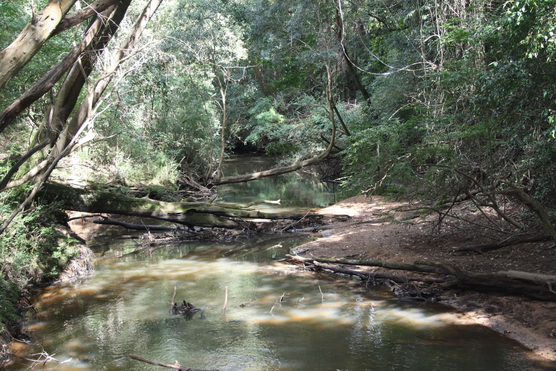 1127 Yarramalong Road, Wyong Creek, Wyong Creek - Thumbnail 5