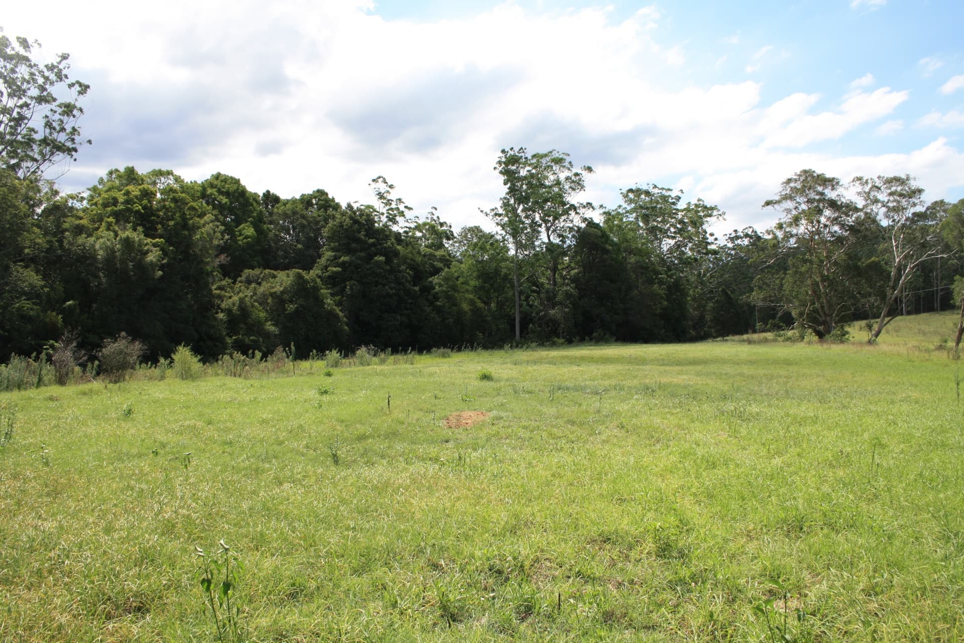 1127 Yarramalong Road, Wyong Creek, Wyong Creek - Thumbnail 7