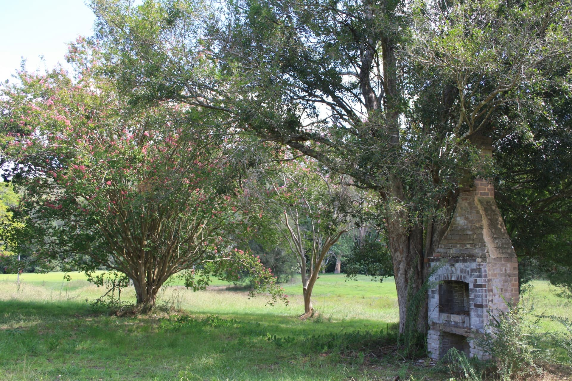 1127 Yarramalong Road, Wyong Creek, Wyong Creek - Thumbnail 8