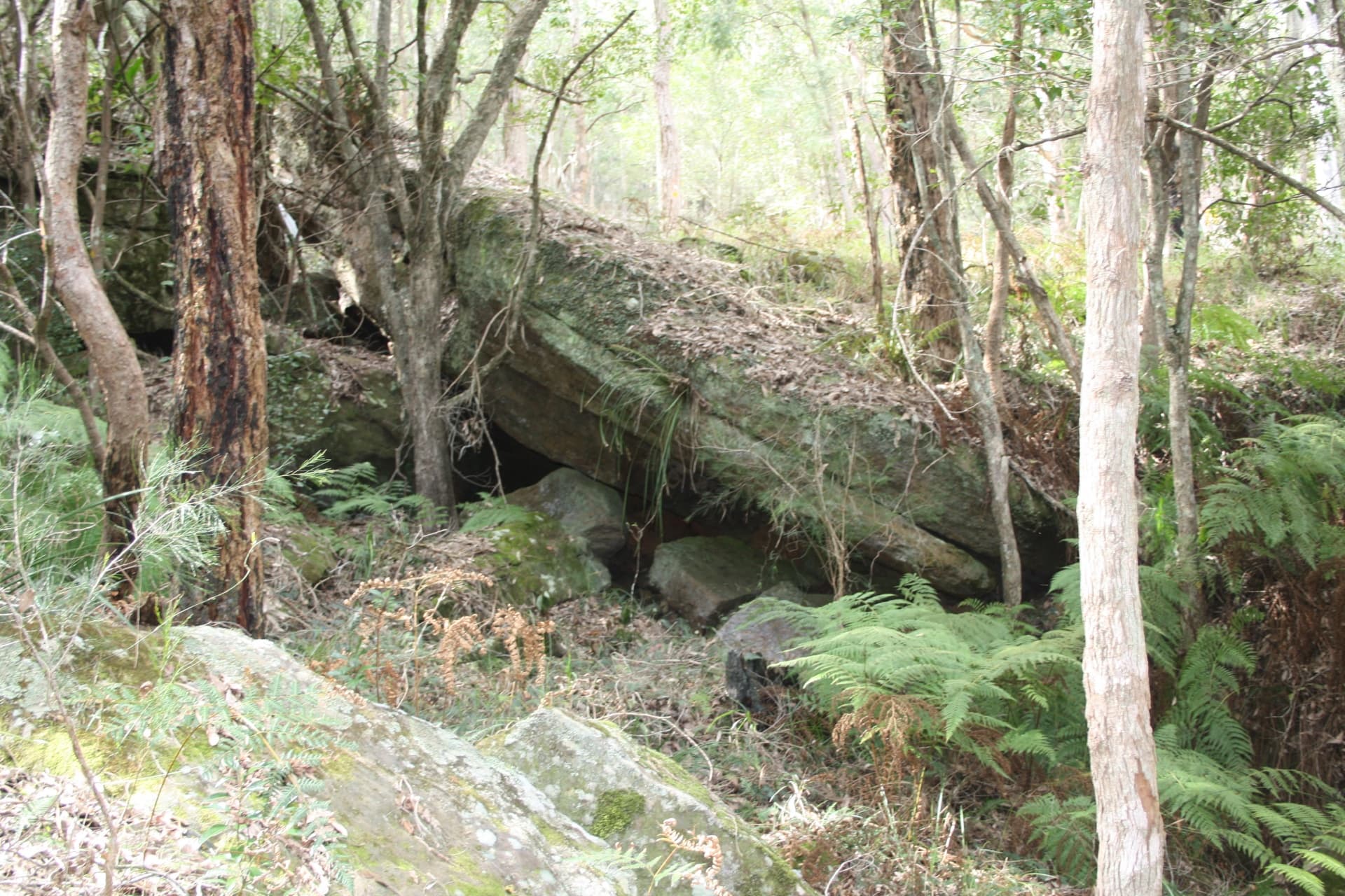 Lot 2 Blue Wren Lane, Wyong Creek, Wyong Creek - Thumbnail 2