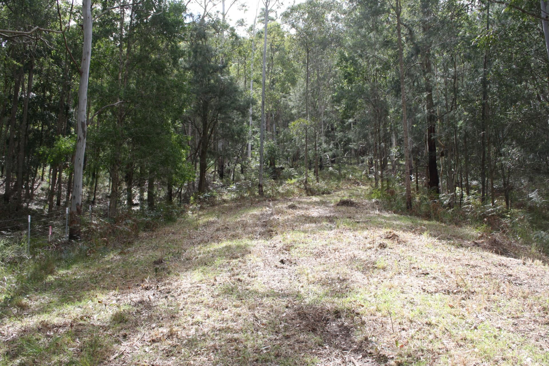 Lot 2 Blue Wren Lane, Wyong Creek, Wyong Creek - Thumbnail 5