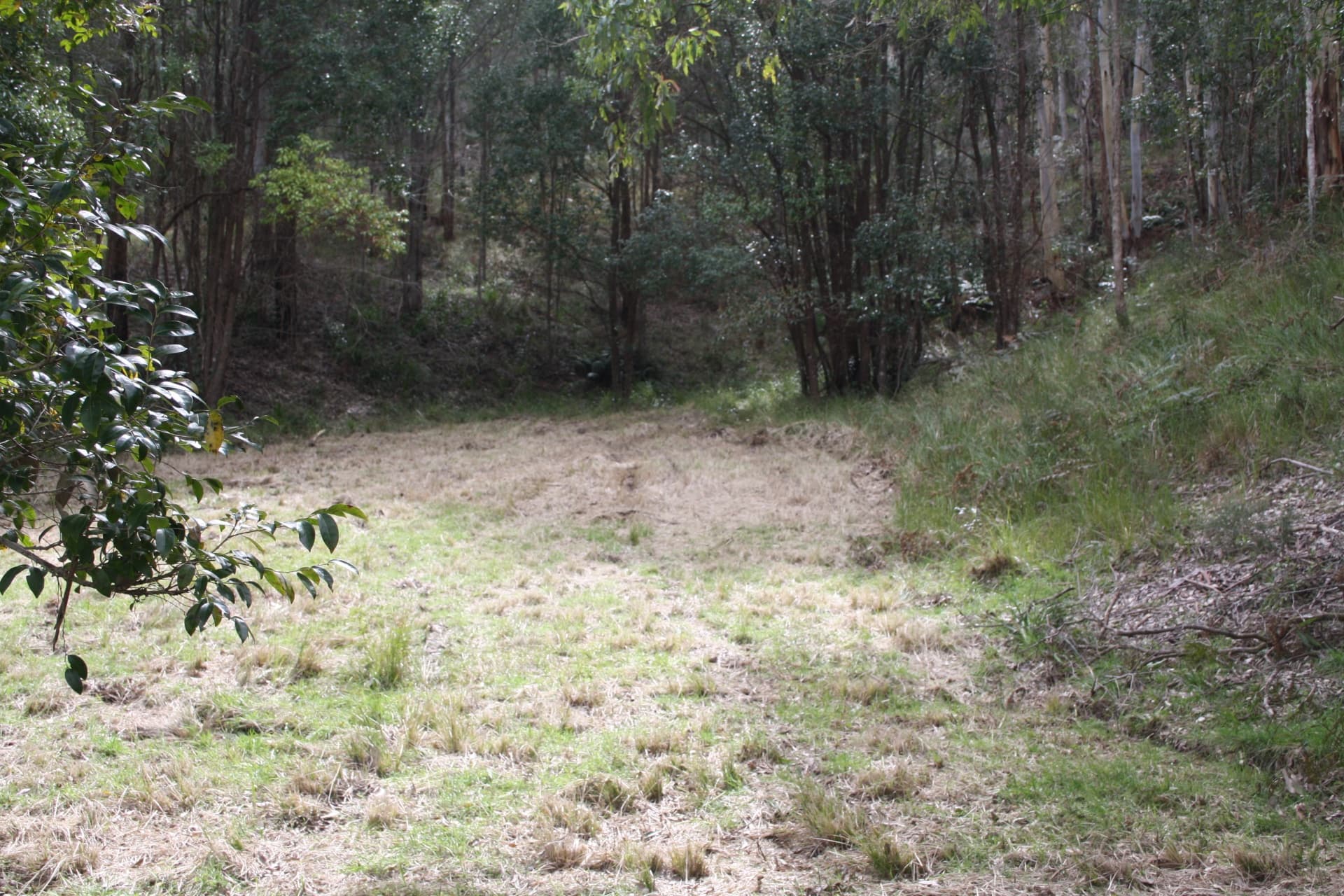 Lot 2 Blue Wren Lane, Wyong Creek, Wyong Creek - Image 1