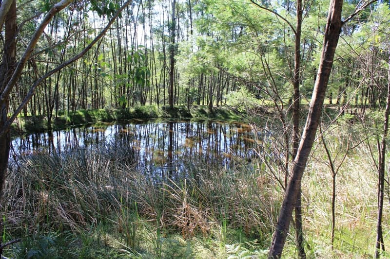205a Tallowa Dam Road, Kangaroo Valley, Kangaroo Valley - Thumbnail 3