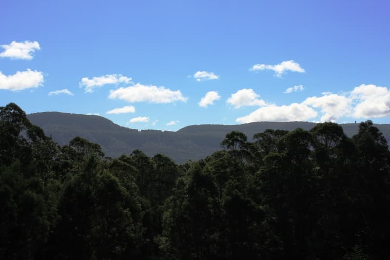 205a Tallowa Dam Road, Kangaroo Valley, Kangaroo Valley - Thumbnail 4