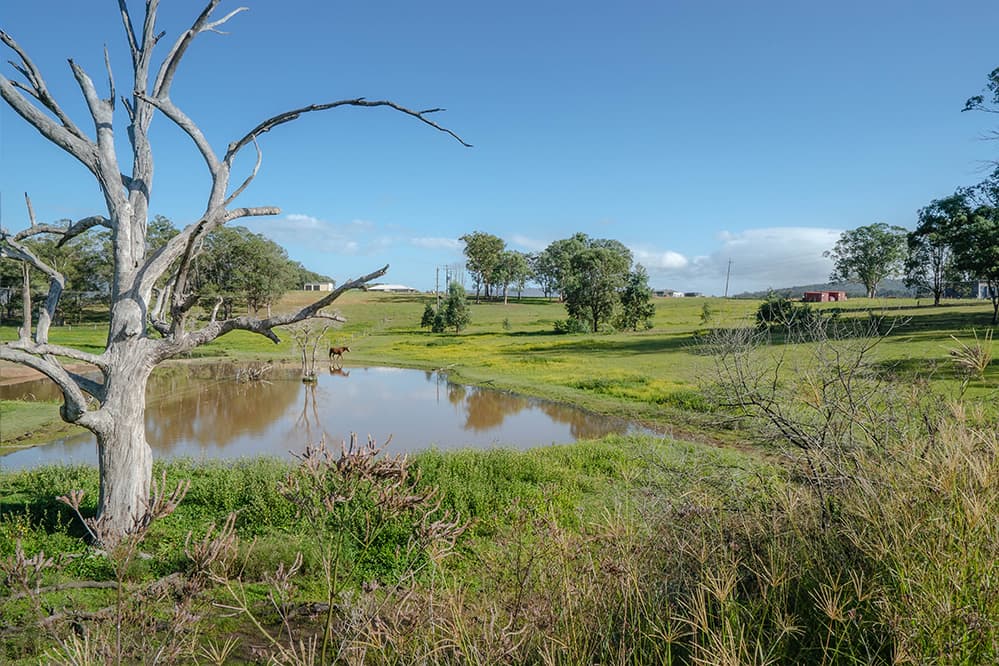 907 Gresford Road, Vacy, Vacy - Thumbnail 3
