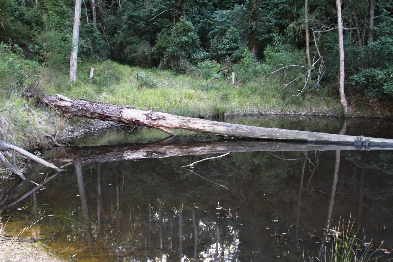 30 Glenayar Road, Kangaroo Valley, Kangaroo Valley - Thumbnail 4