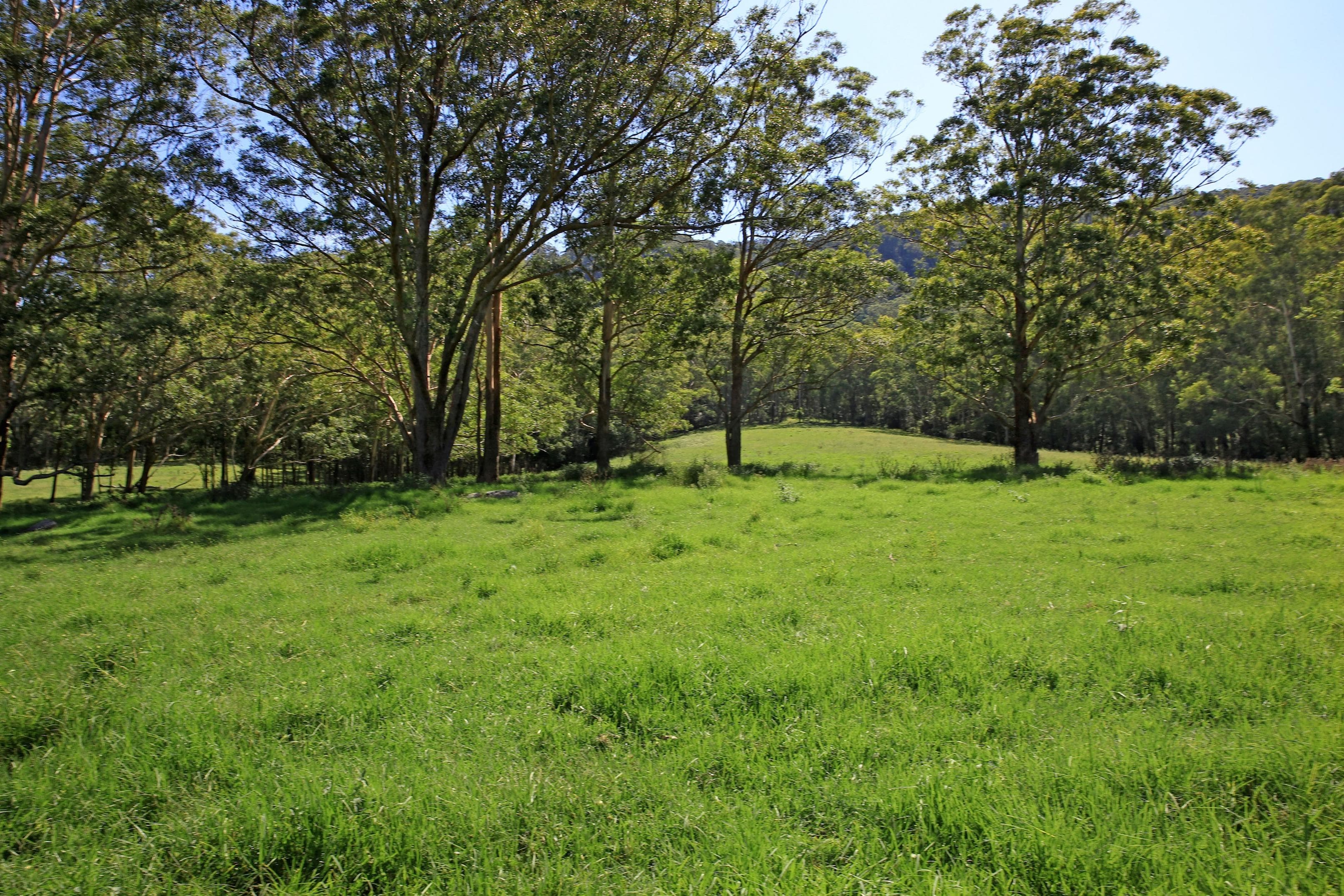 Lot 3 Bendeela Road, Kangaroo Valley, Kangaroo Valley - Thumbnail 7