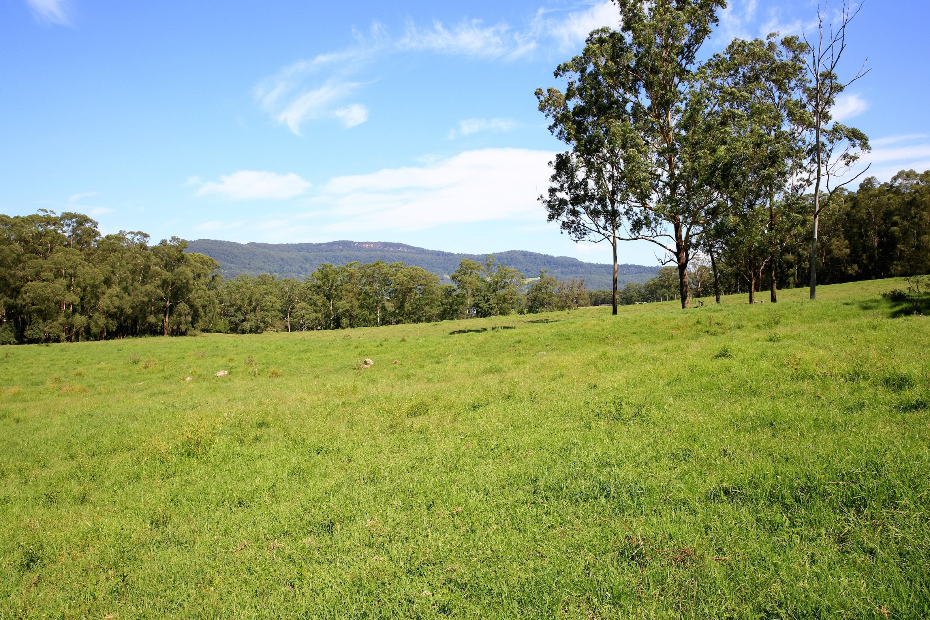 Lot 3 Bendeela Road, Kangaroo Valley, Kangaroo Valley - Thumbnail 8