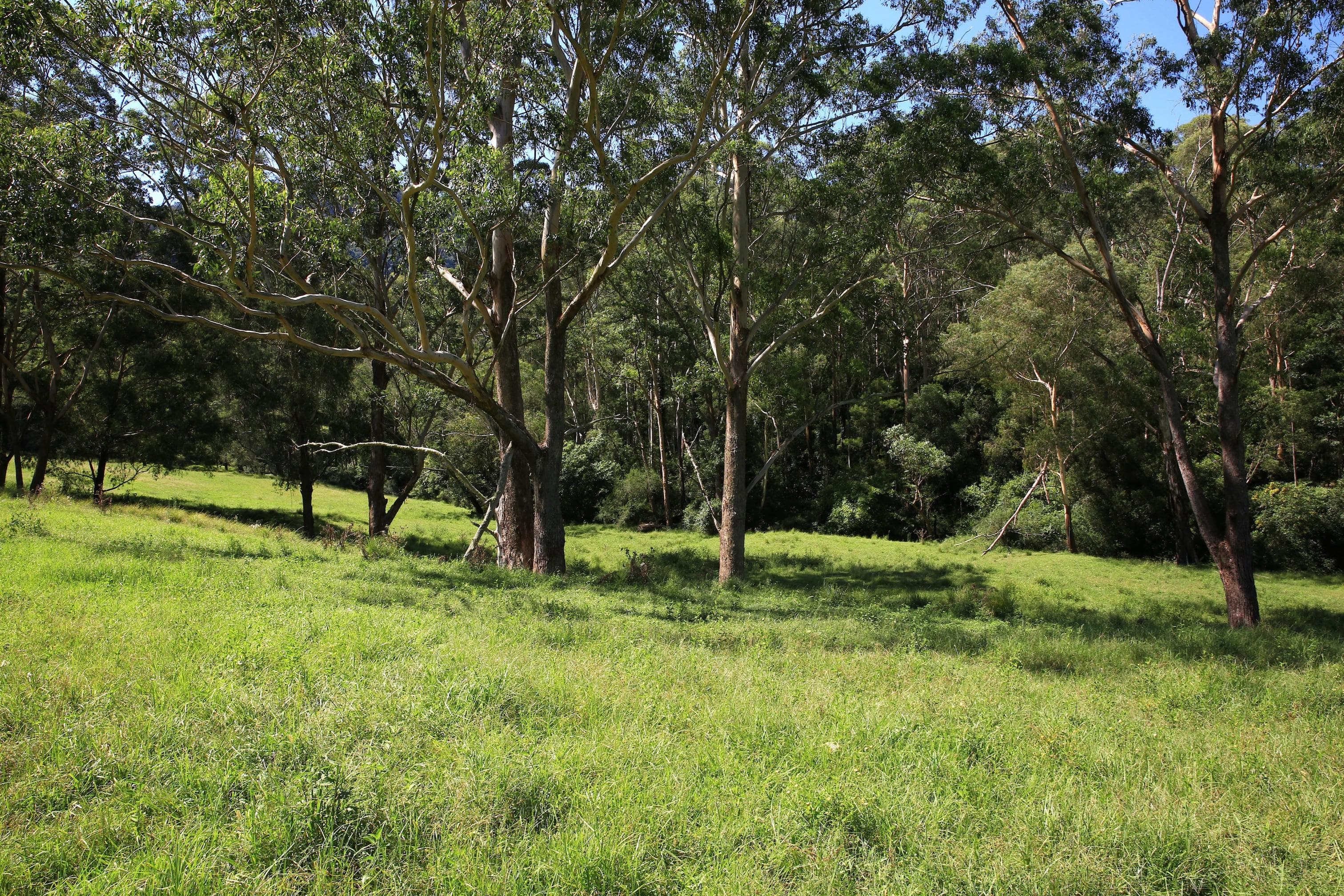 Lot 3 Bendeela Road, Kangaroo Valley, Kangaroo Valley - Thumbnail 6