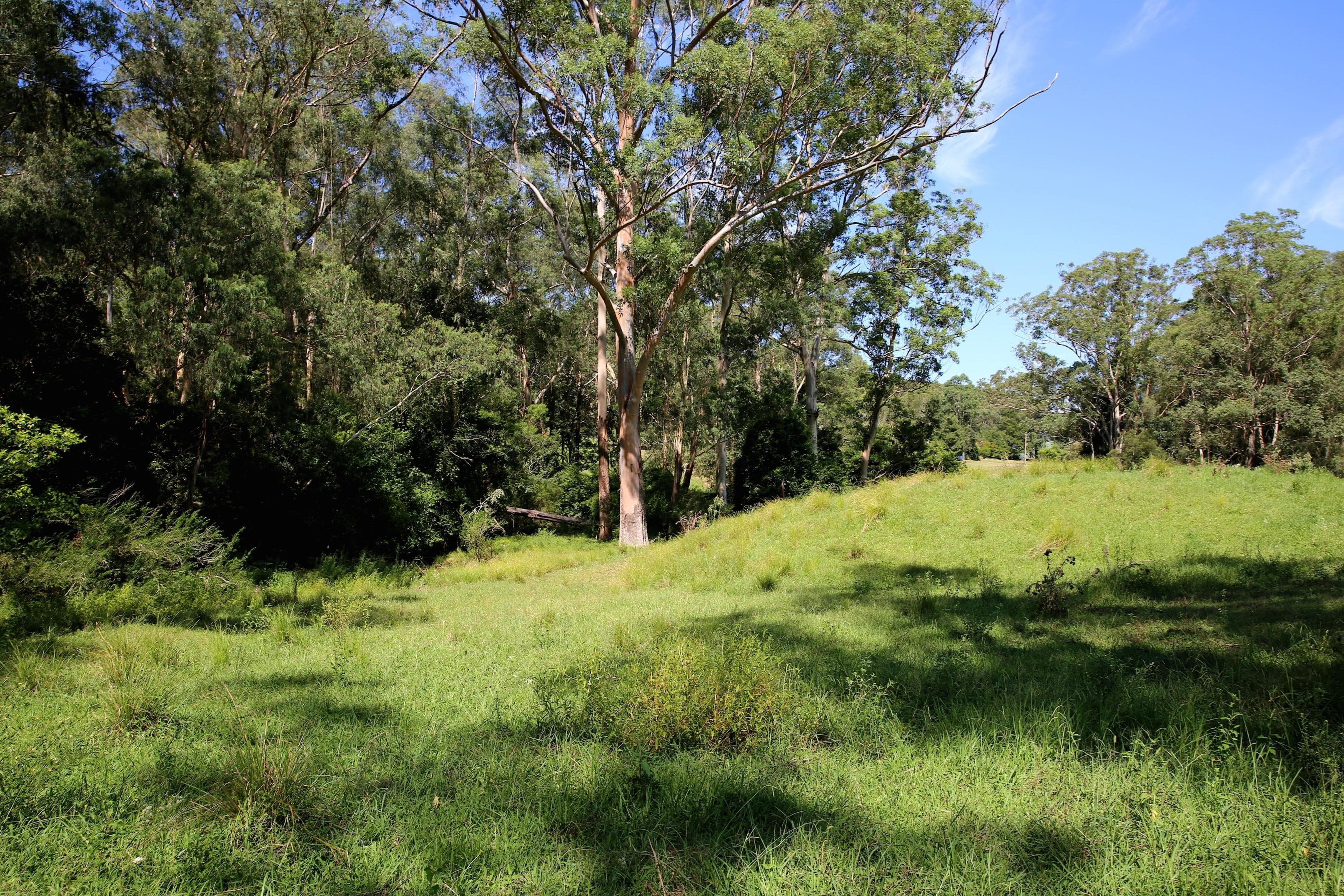 Lot 3 Bendeela Road, Kangaroo Valley, Kangaroo Valley - Thumbnail 2
