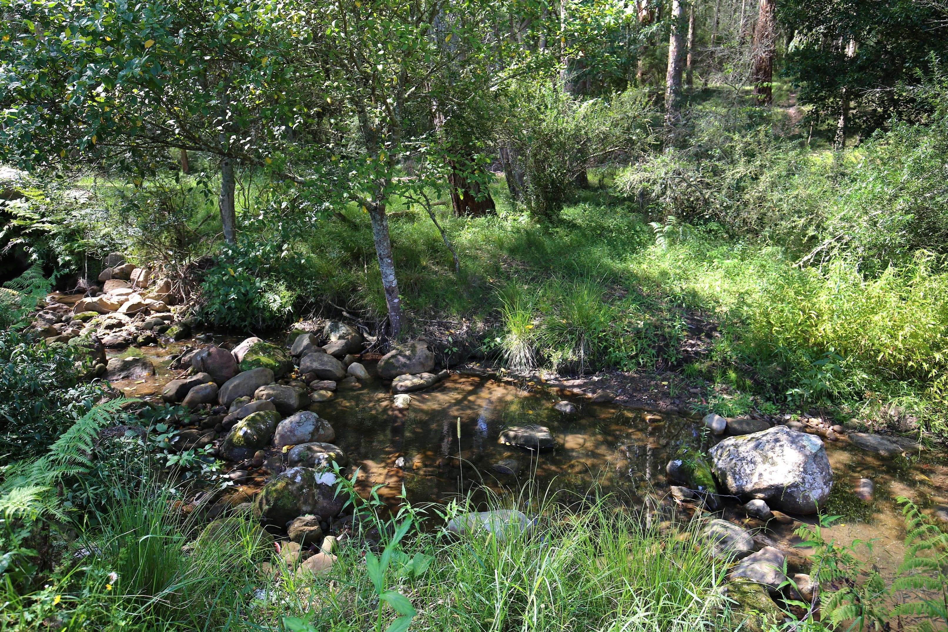 Lot 3 Bendeela Road, Kangaroo Valley, Kangaroo Valley - Thumbnail 4